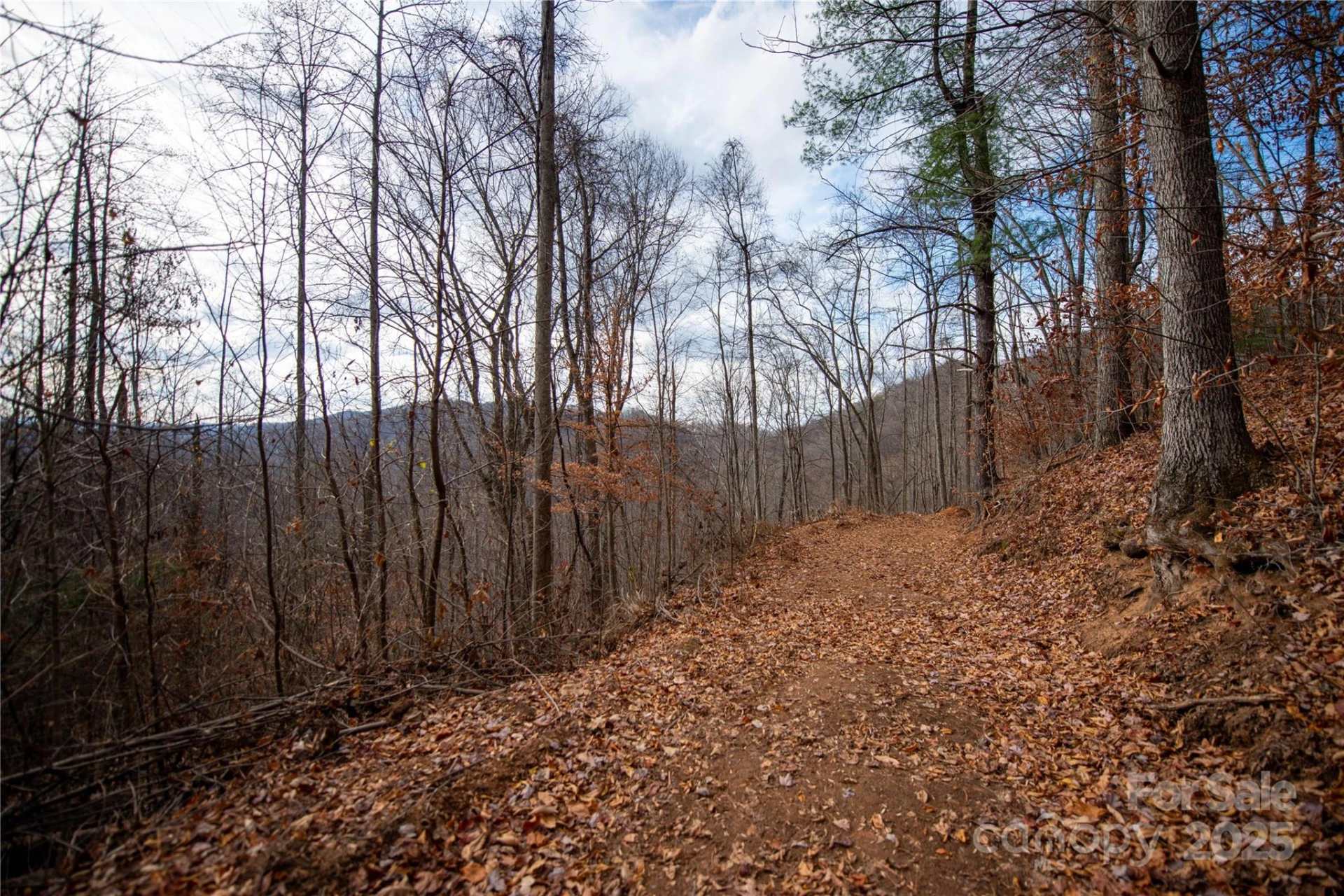 ### Grapevine Road - Photo 10