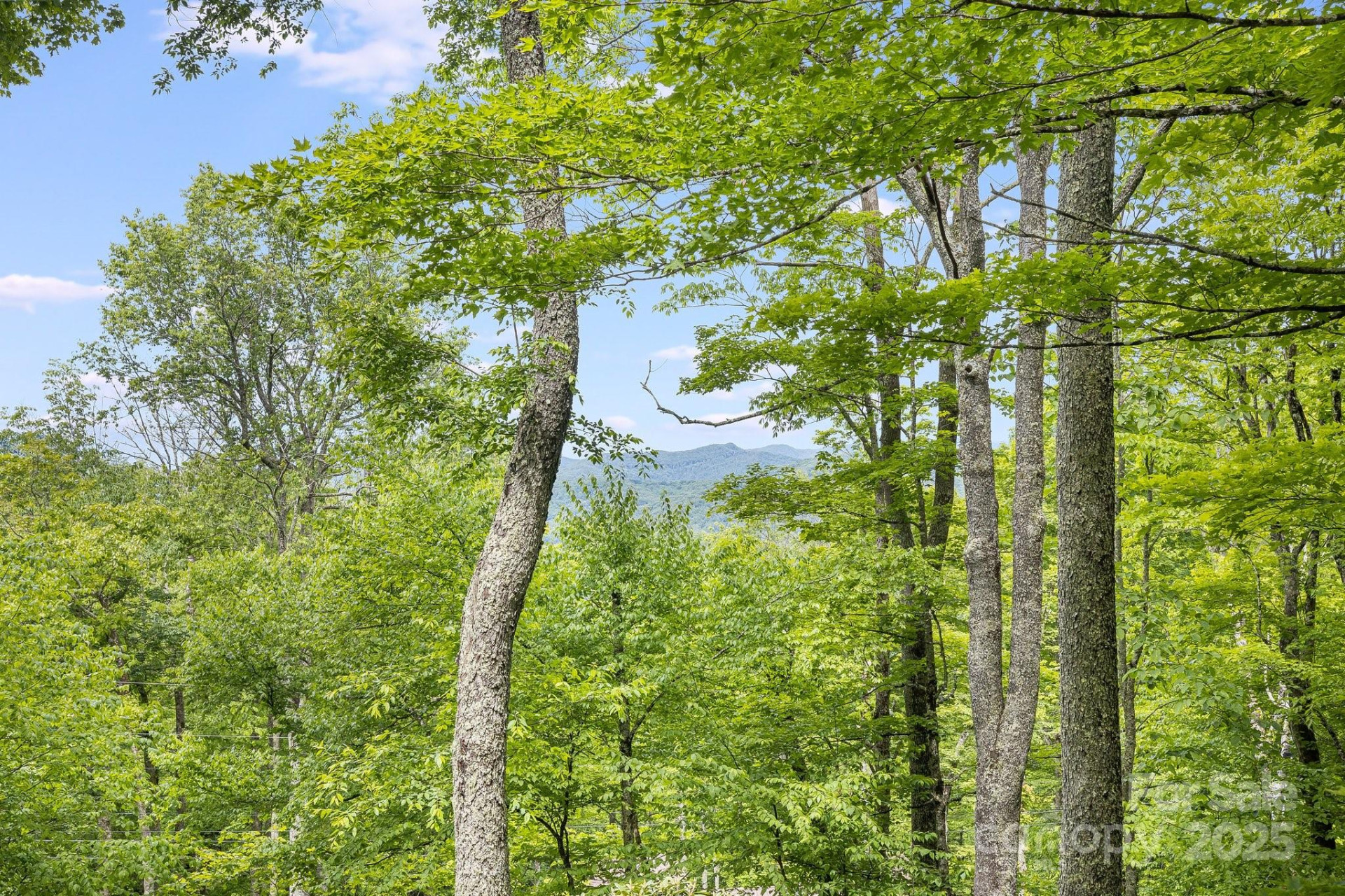 170 Lucas Lane - Photo 39