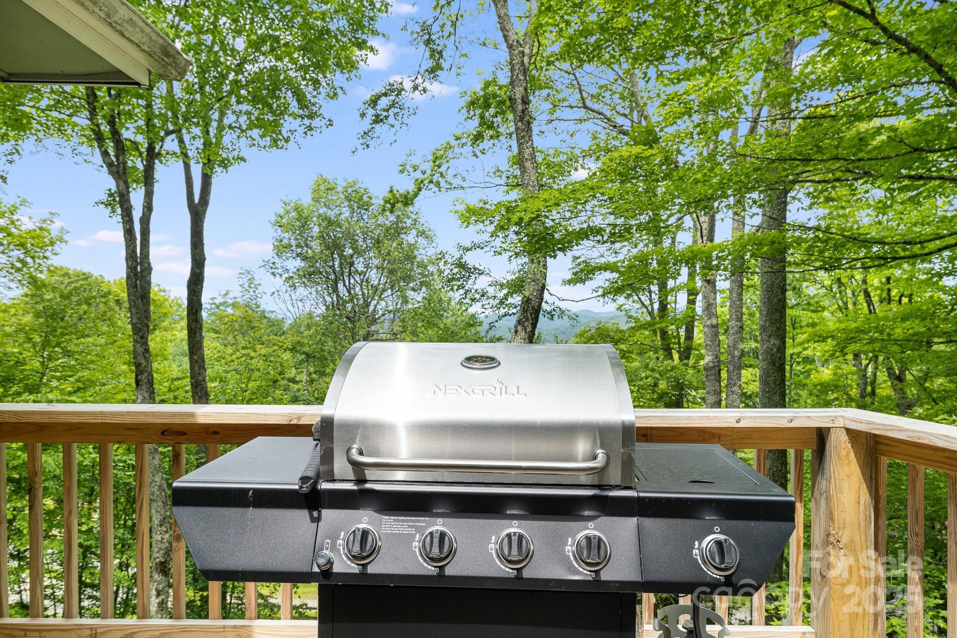 170 Lucas Lane - Photo 42