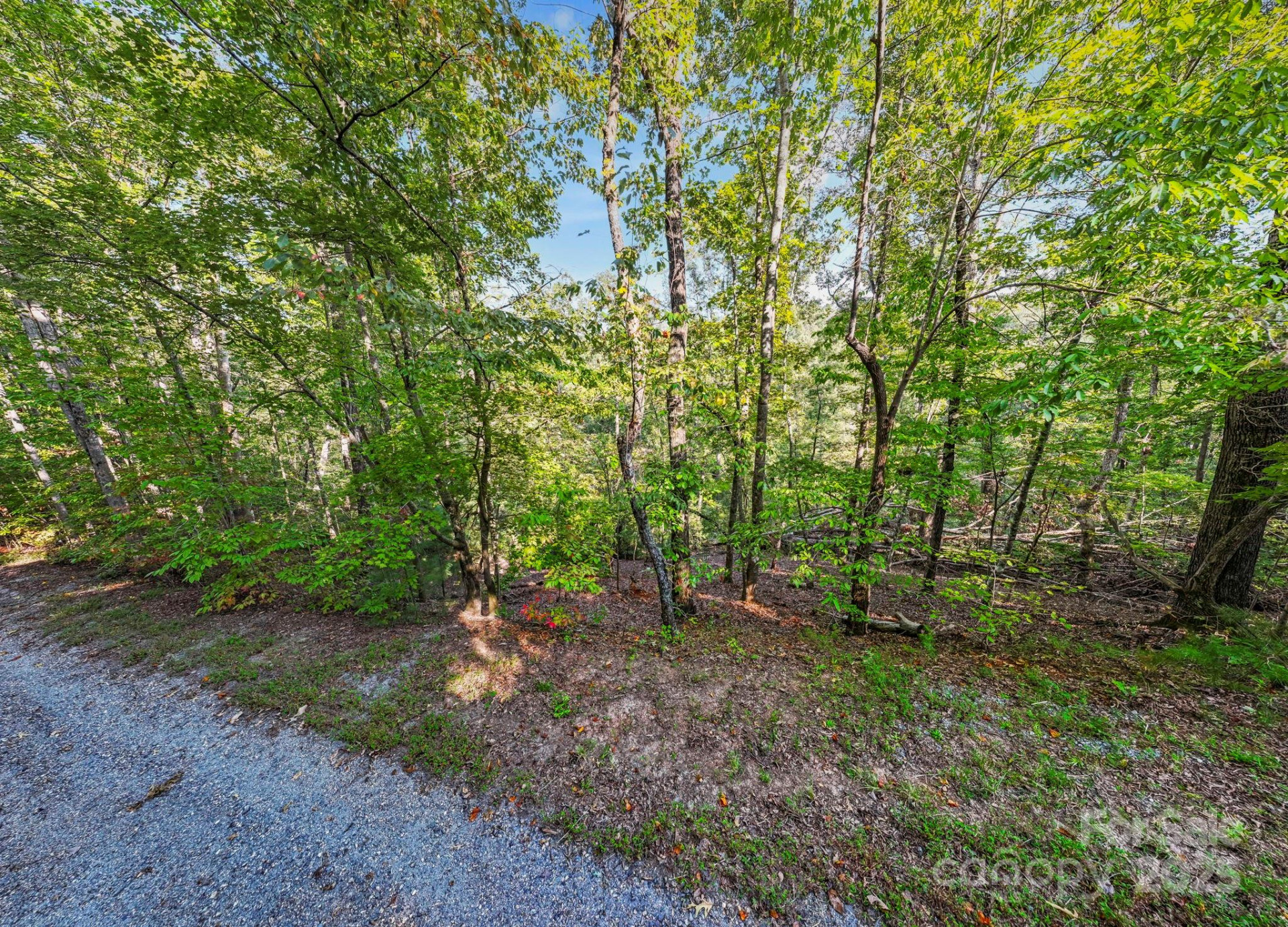 394 Doves Way - Photo 19
