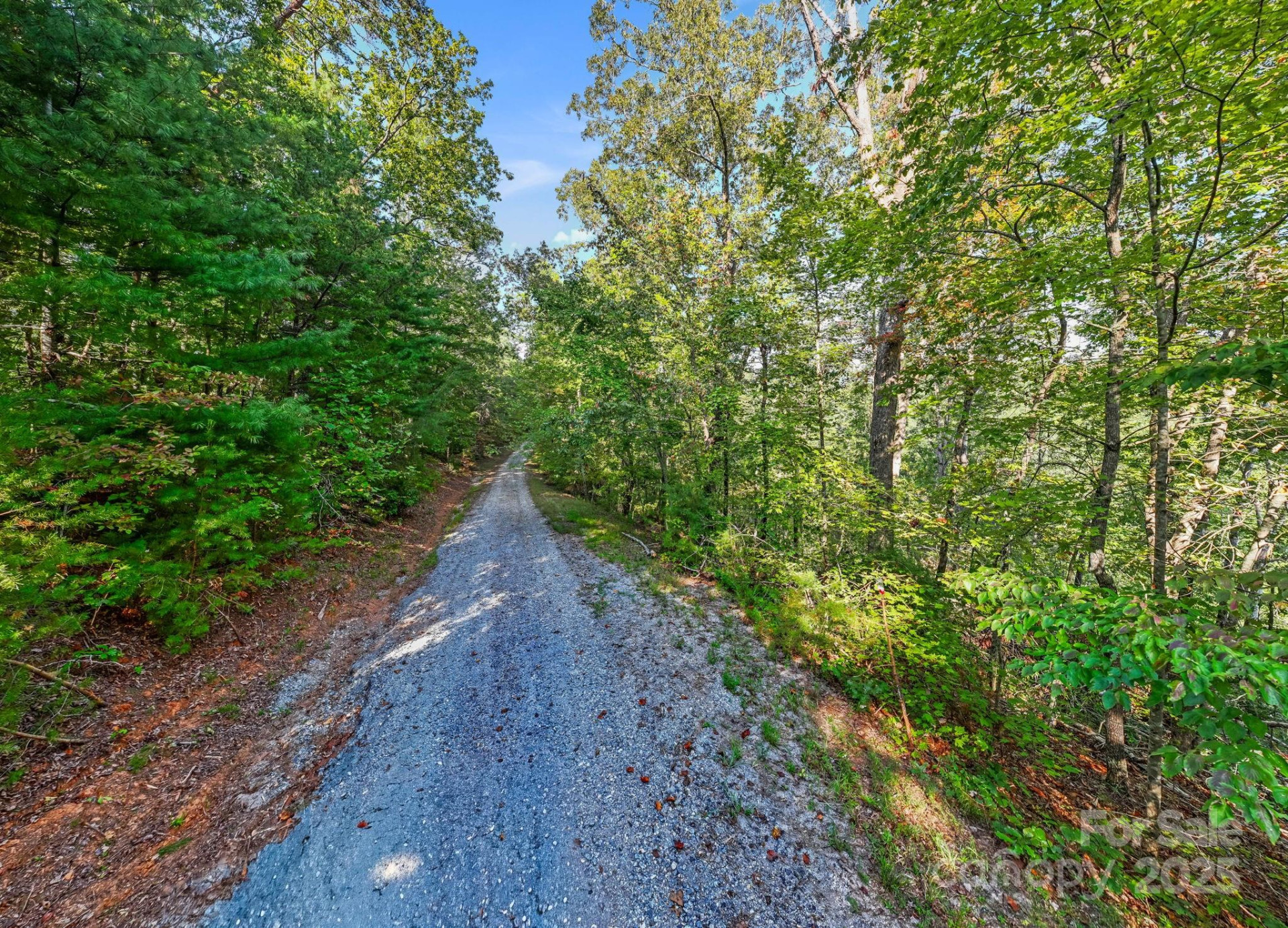 394 Doves Way - Photo 20