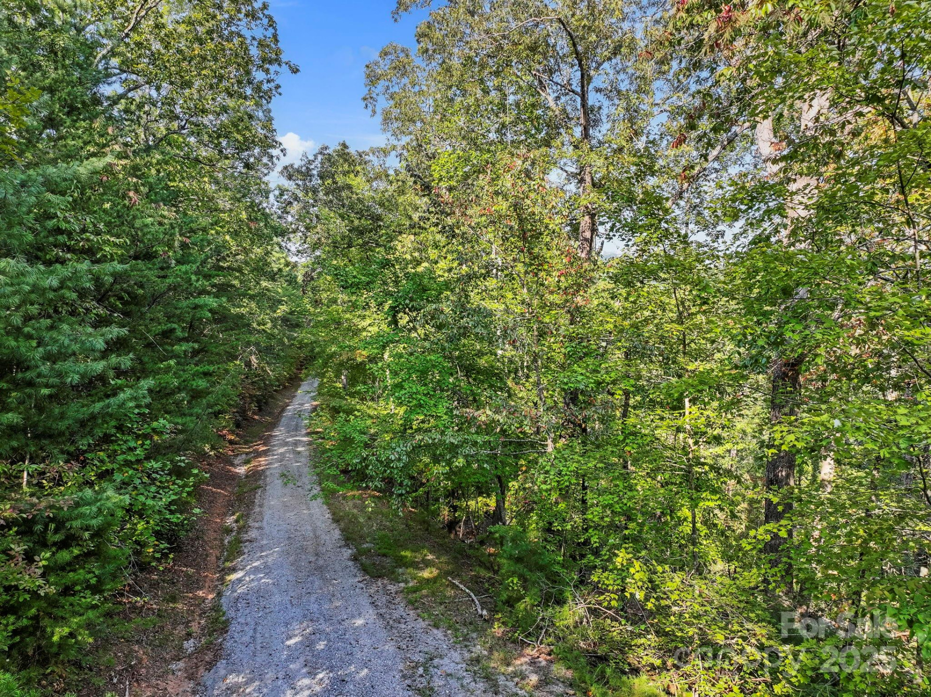 394 Doves Way - Photo 21
