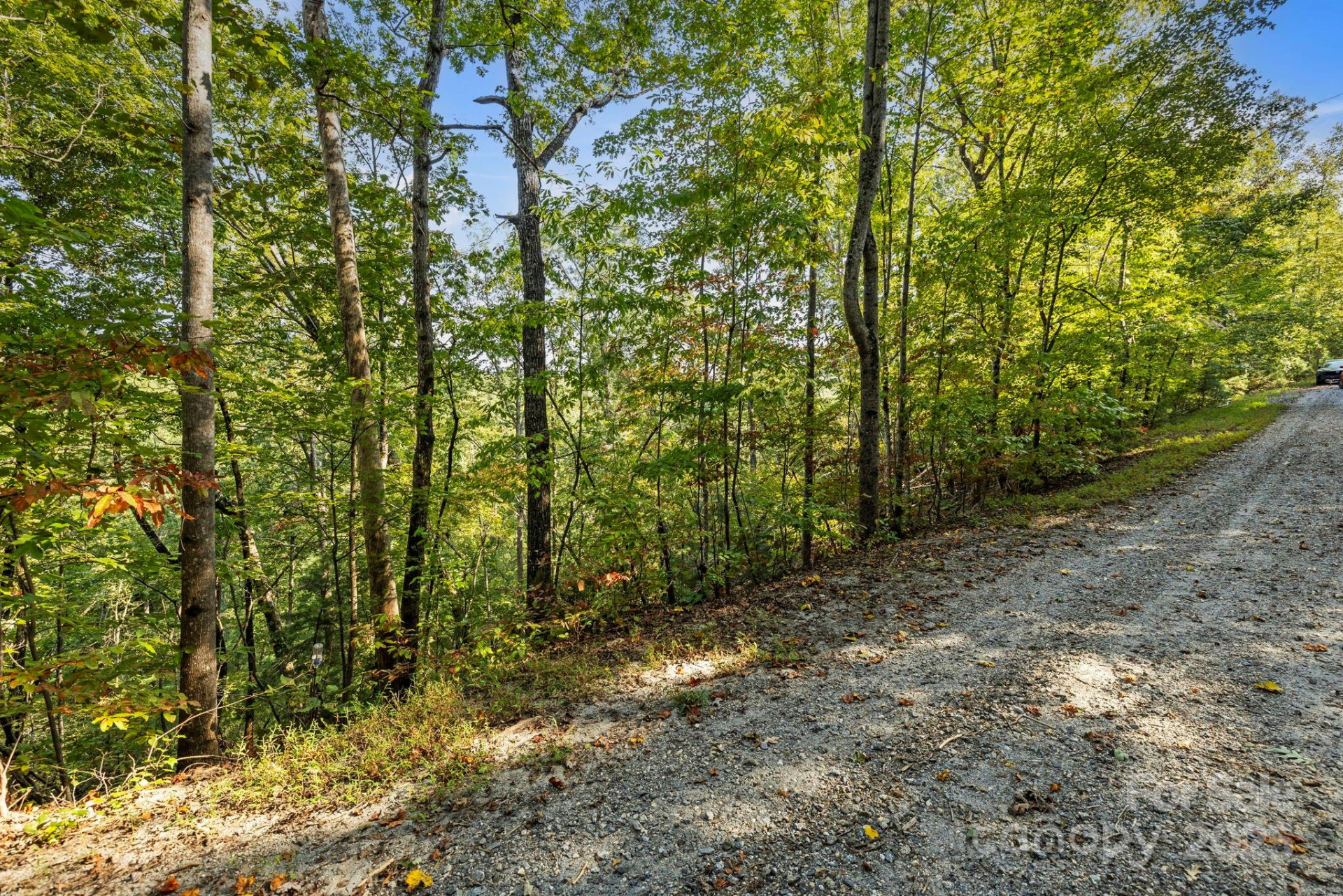 394 Doves Way - Photo 31
