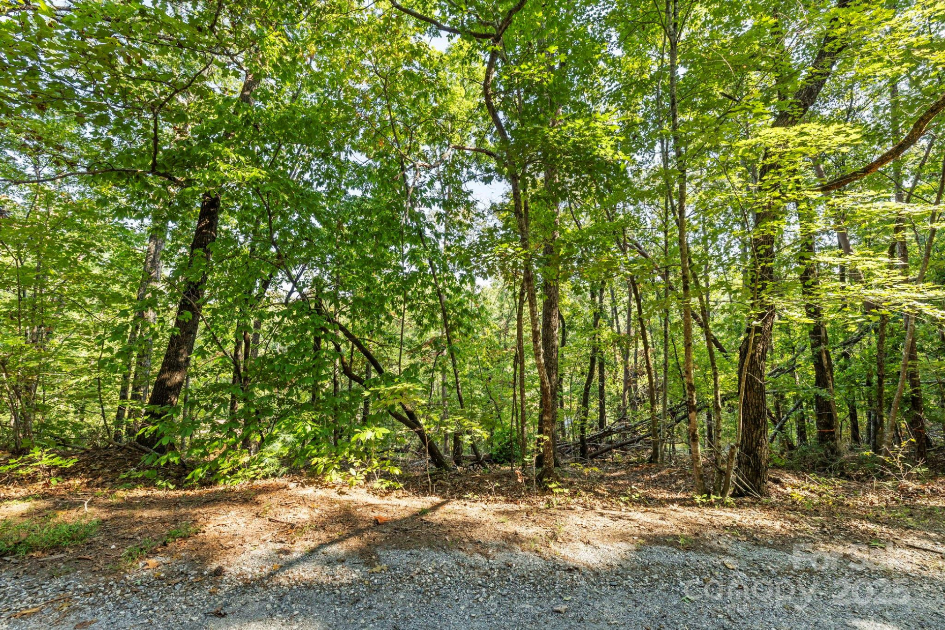 394 Doves Way - Photo 33