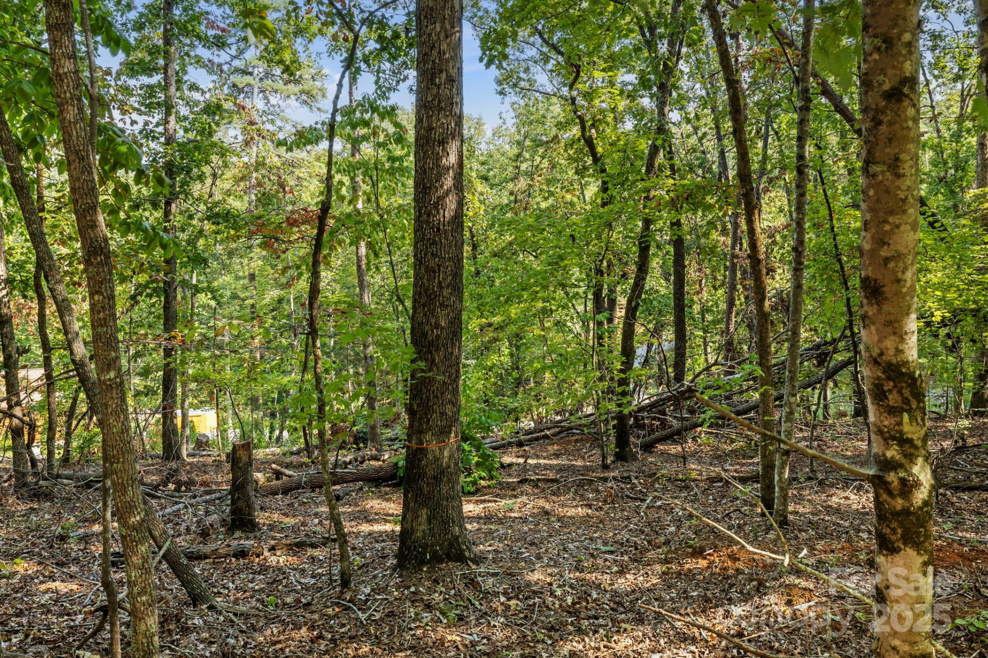 394 Doves Way - Photo 34