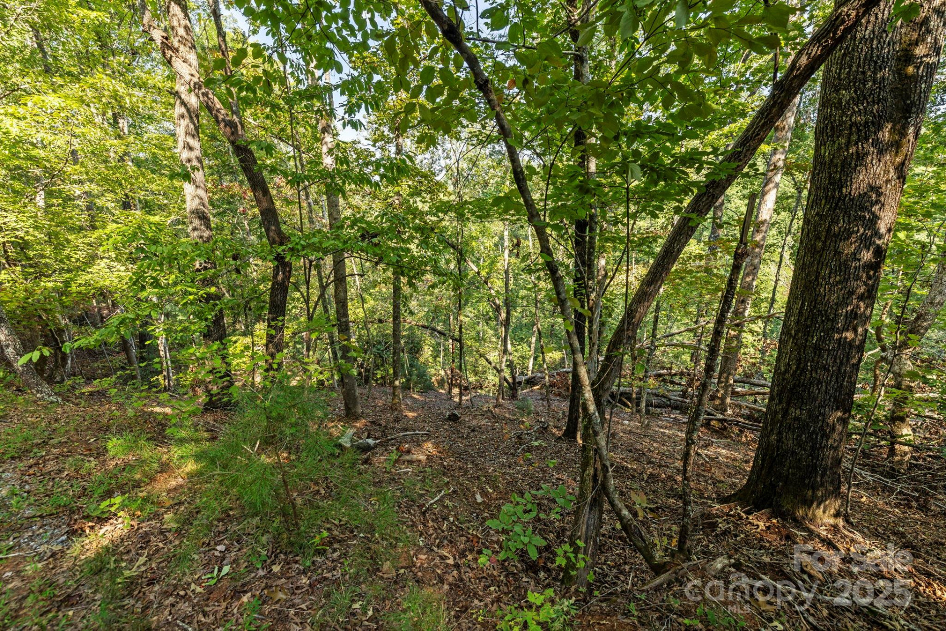 394 Doves Way - Photo 35