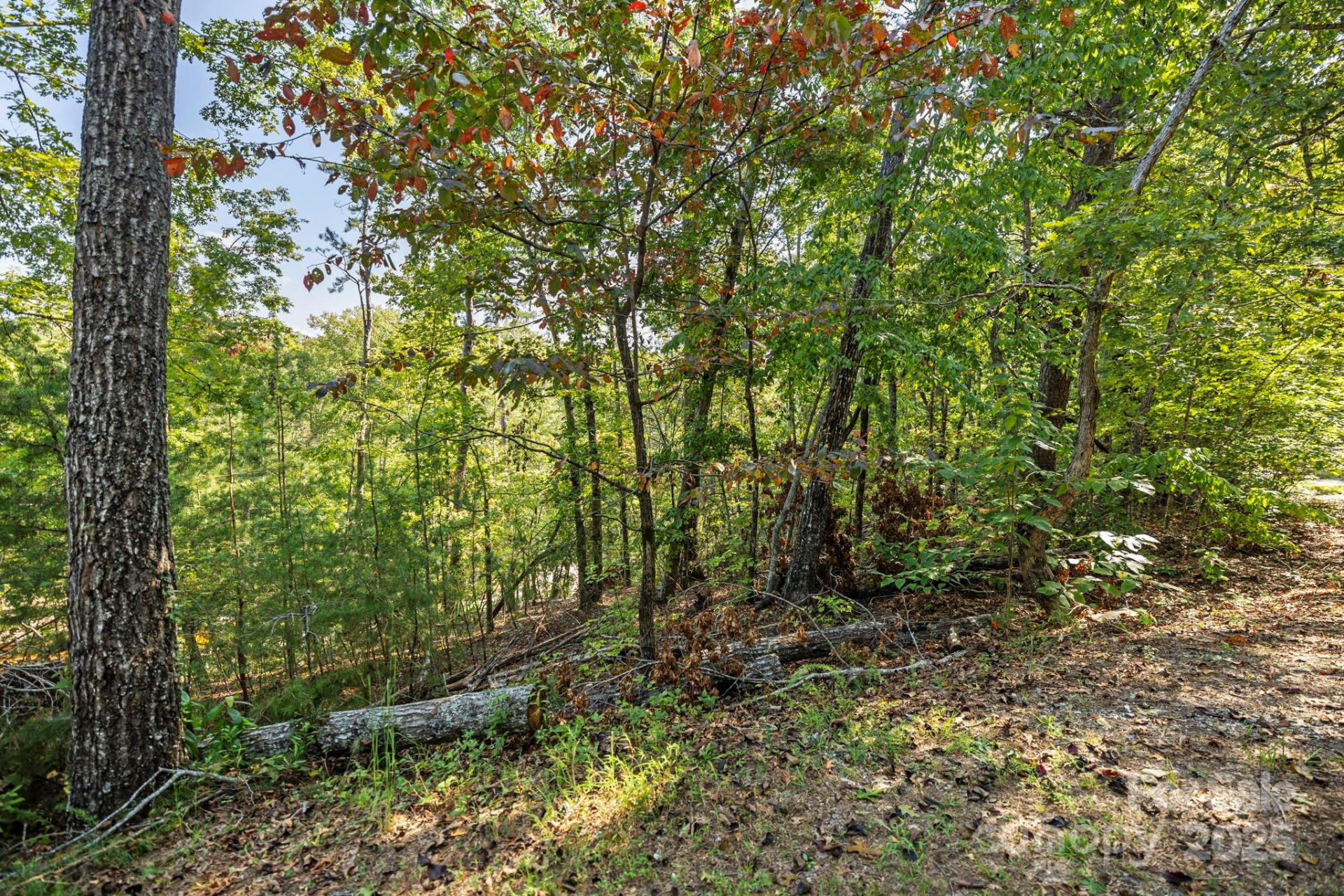 394 Doves Way - Photo 36
