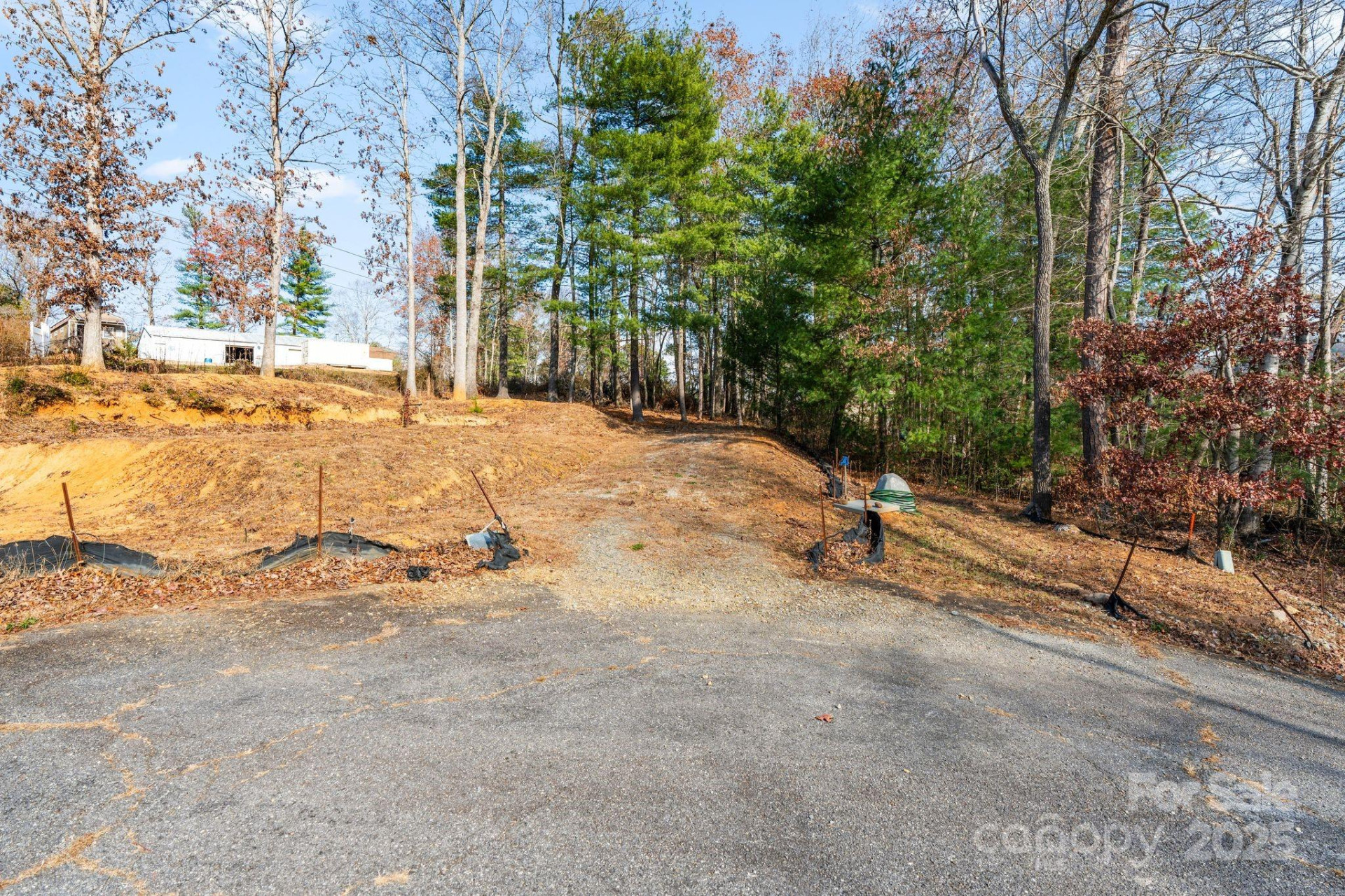 31 Cane Creek Circle #21 - Photo 3