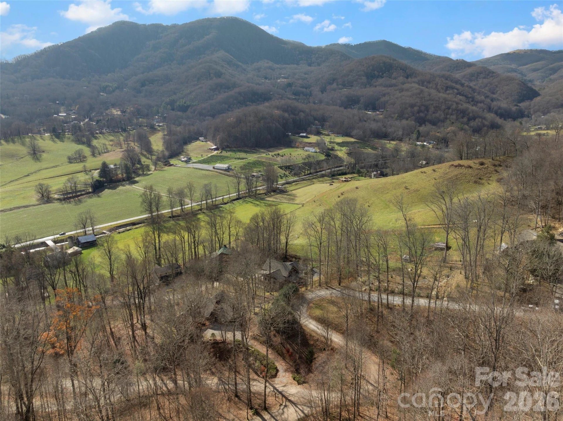 170 Cradling Cove - Photo 37