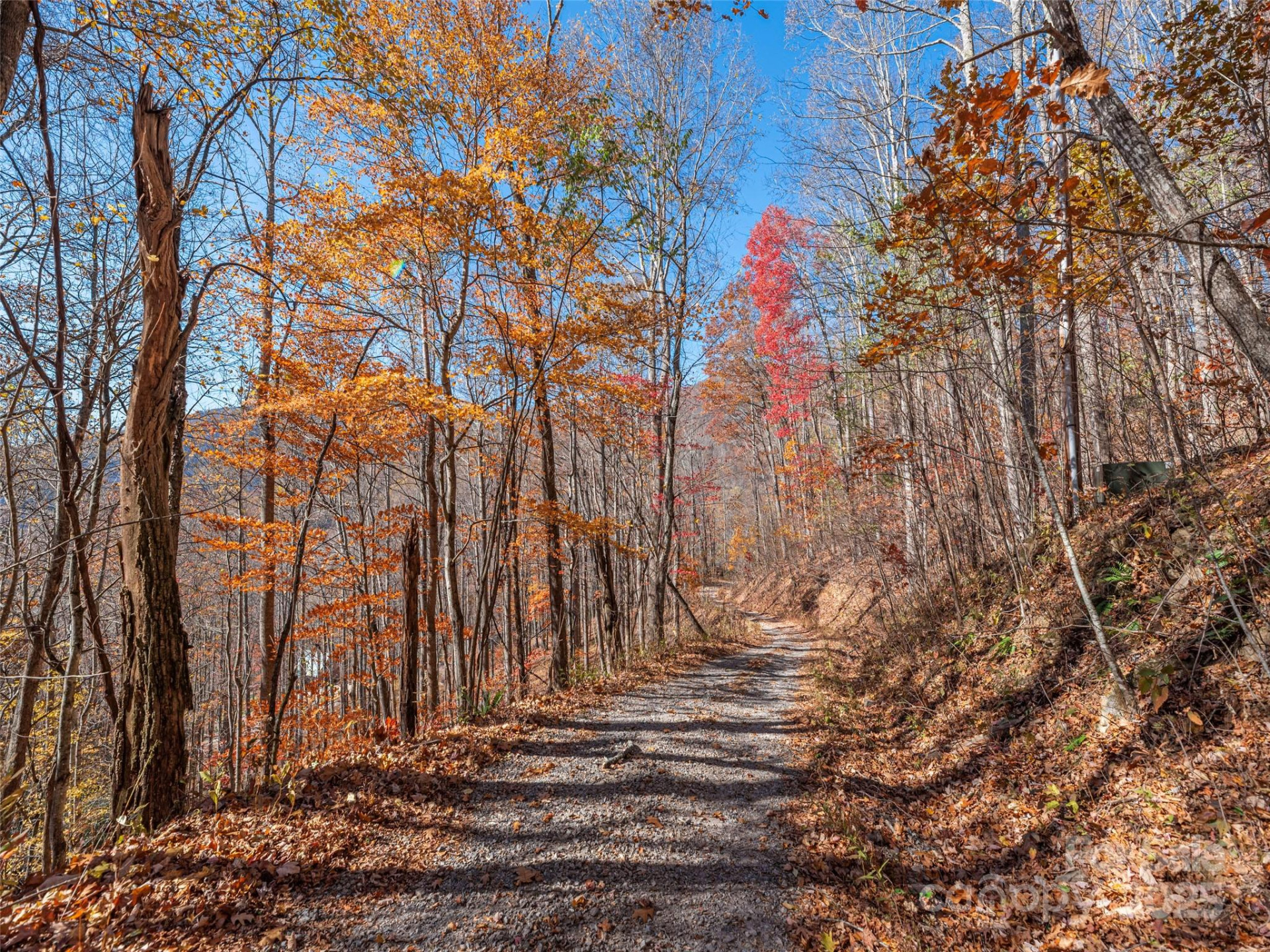 112 & 113 Grouse Road