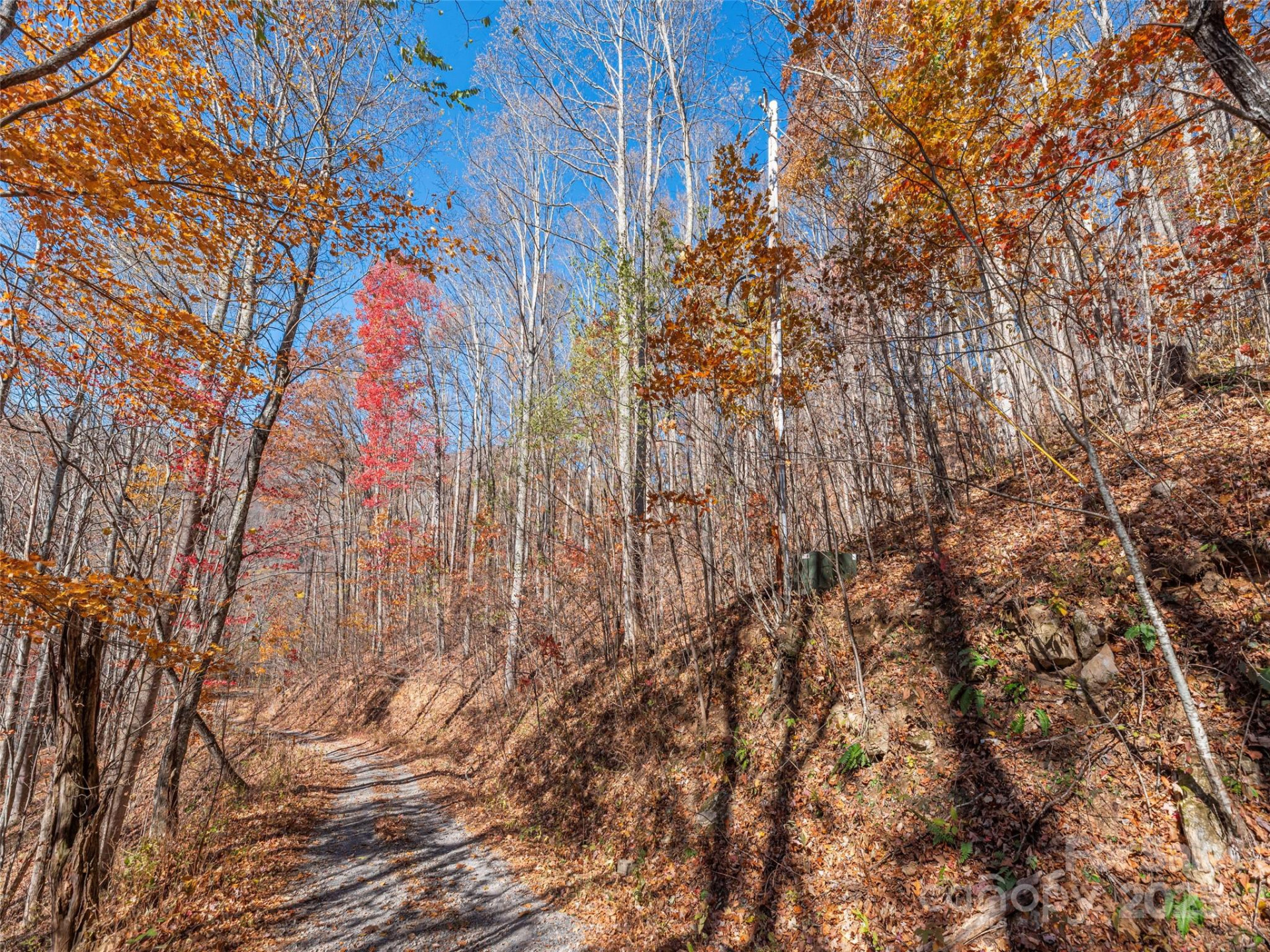 112 & 113 Grouse Road - Photo 2