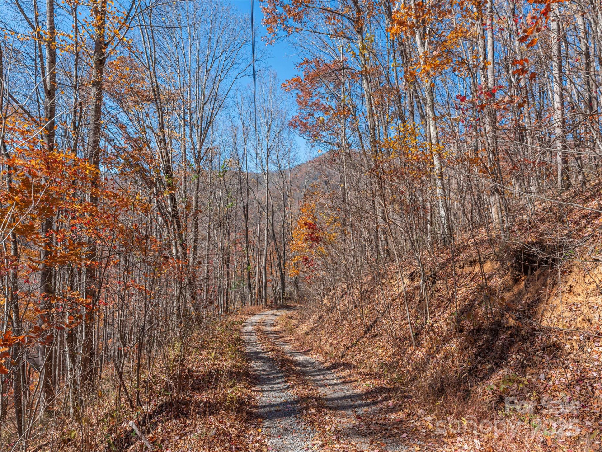 112 & 113 Grouse Road - Photo 3