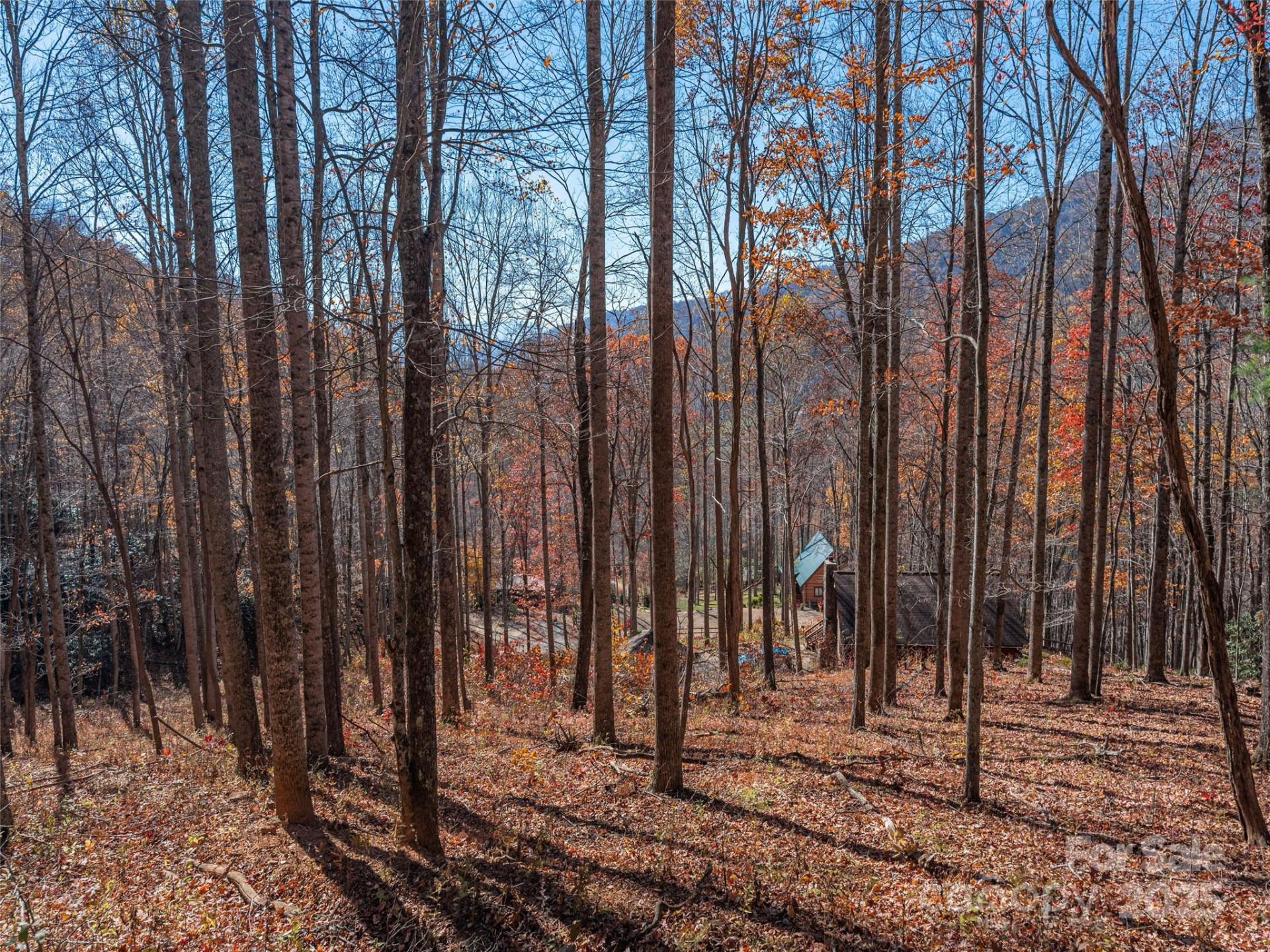 112 & 113 Grouse Road - Photo 6