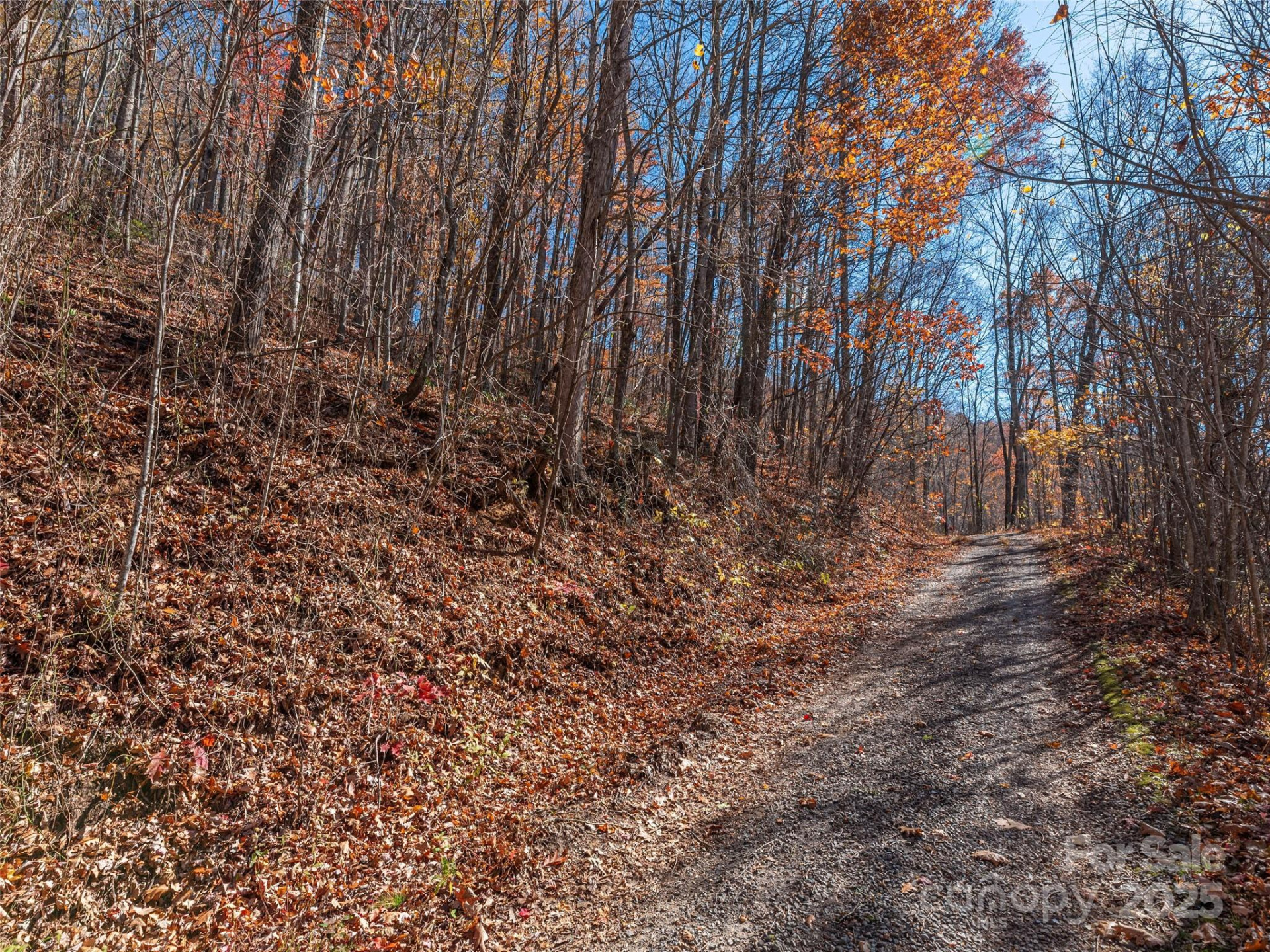 112 & 113 Grouse Road - Photo 7