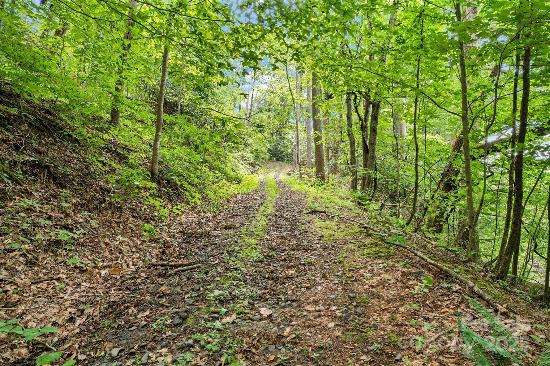 X Bee Branch Road - Photo 11