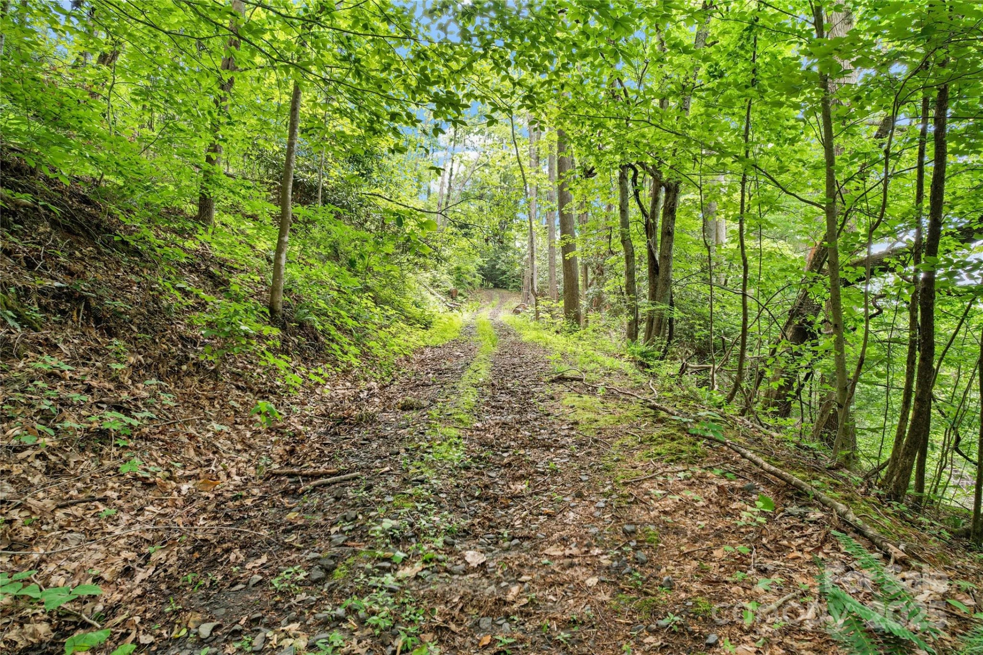 X Bee Branch Road - Photo 11