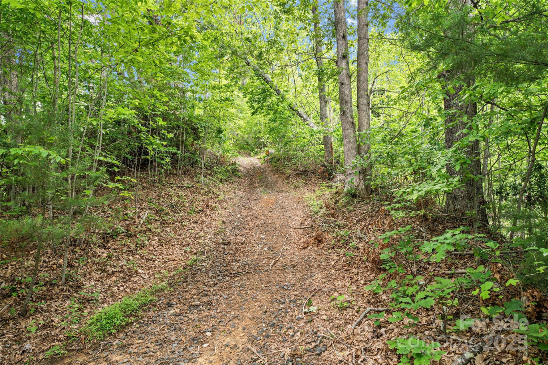 X Bee Branch Road - Photo 12