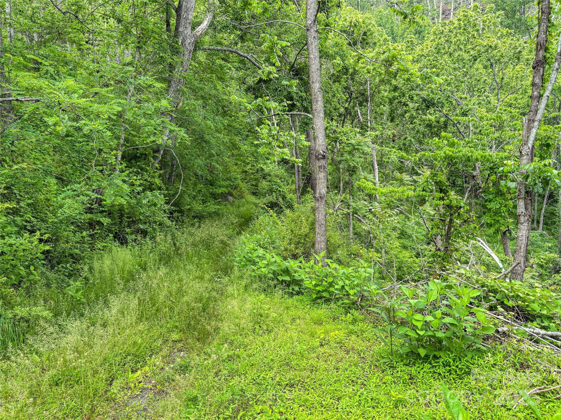 X Bee Branch Road - Photo 13