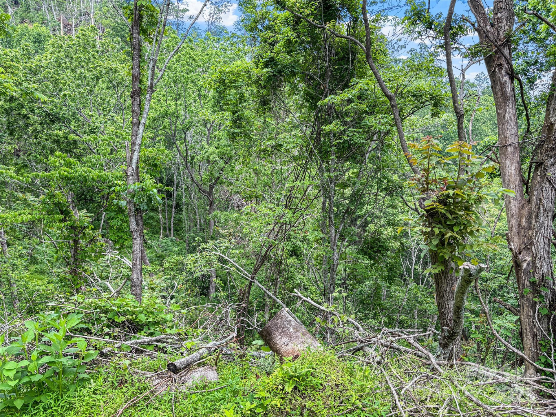 X Bee Branch Road - Photo 14