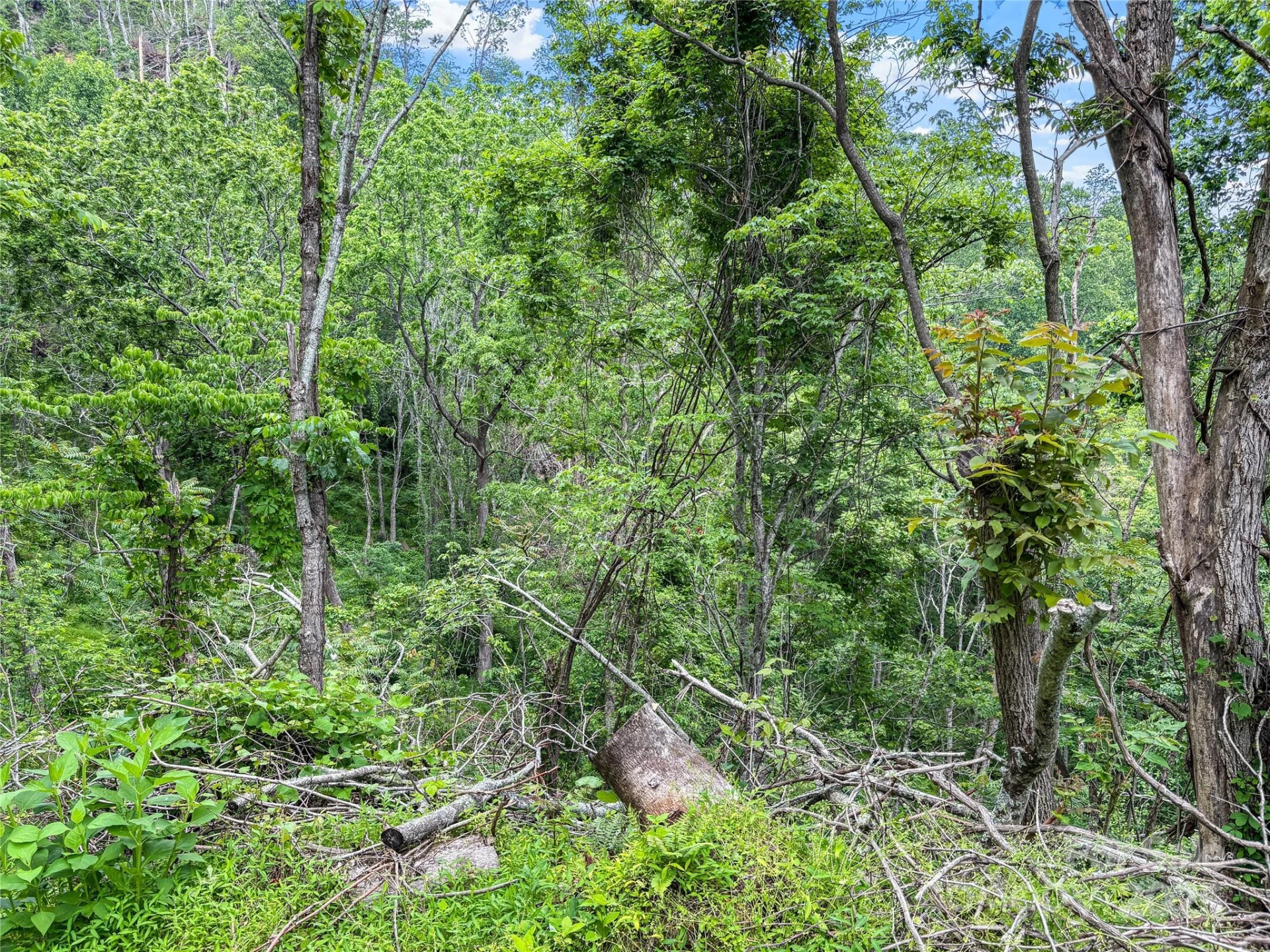 X Bee Branch Road - Photo 14