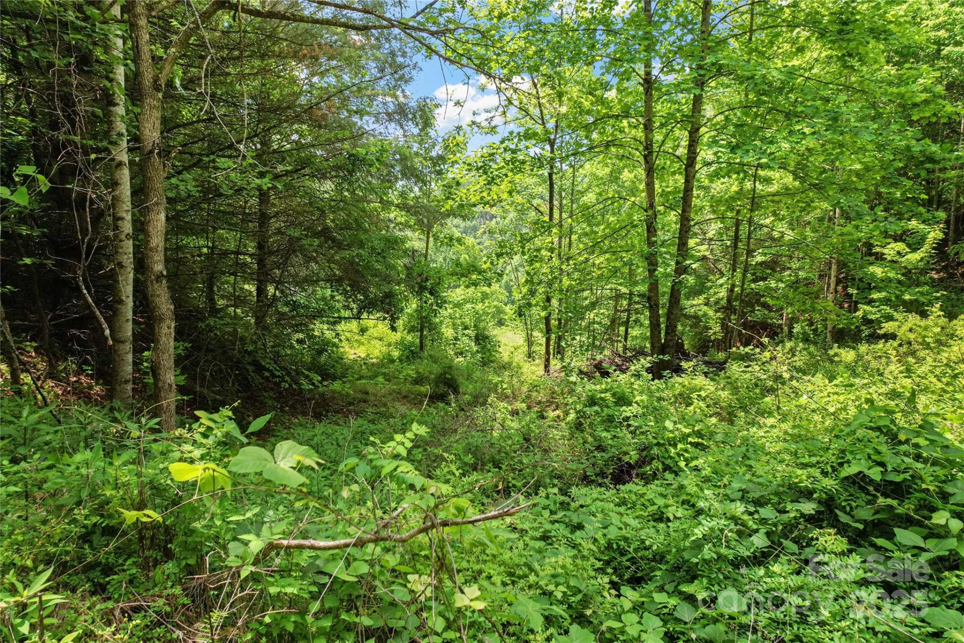 X Bee Branch Road - Photo 15