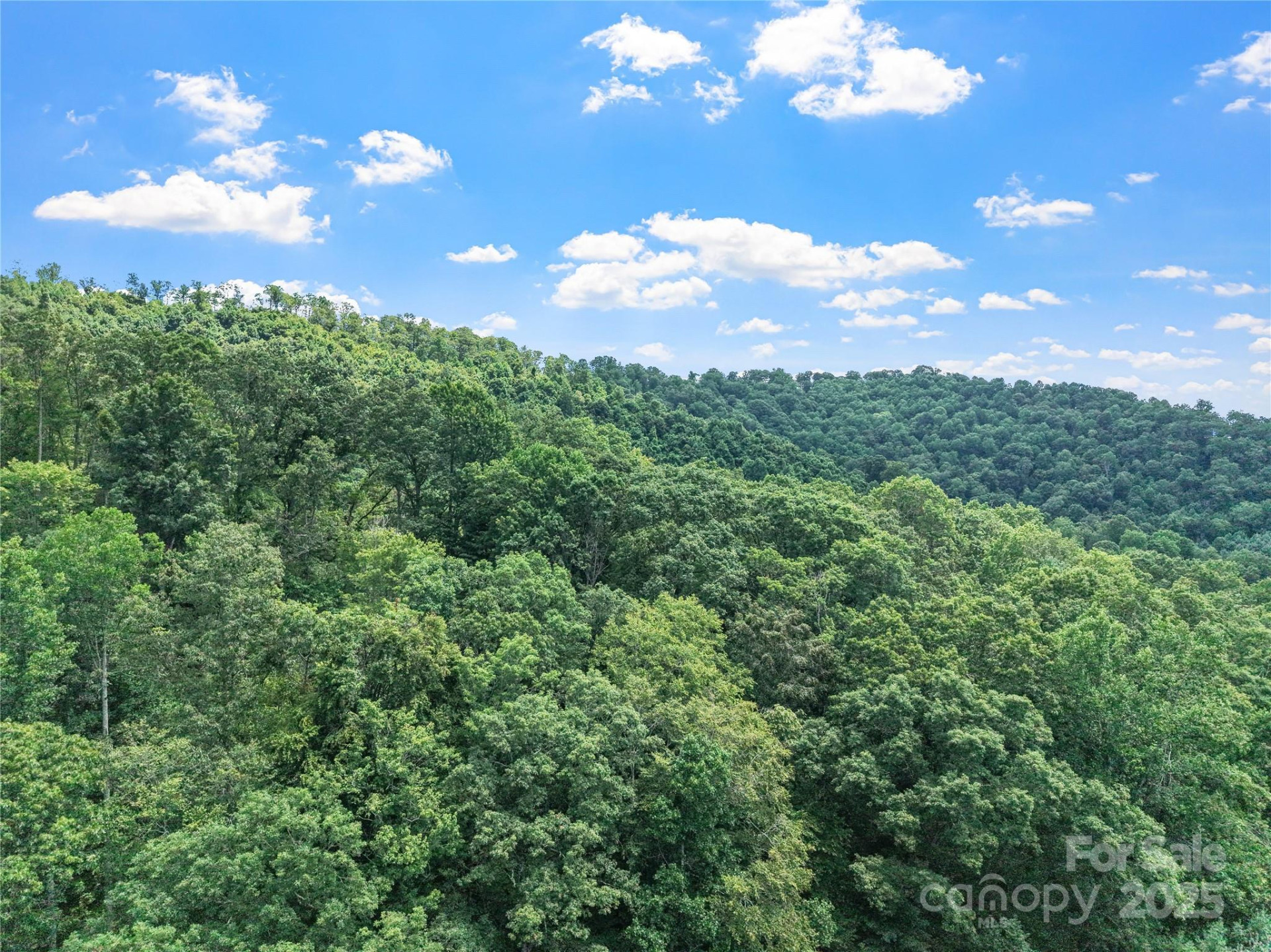 X Bee Branch Road - Photo 4