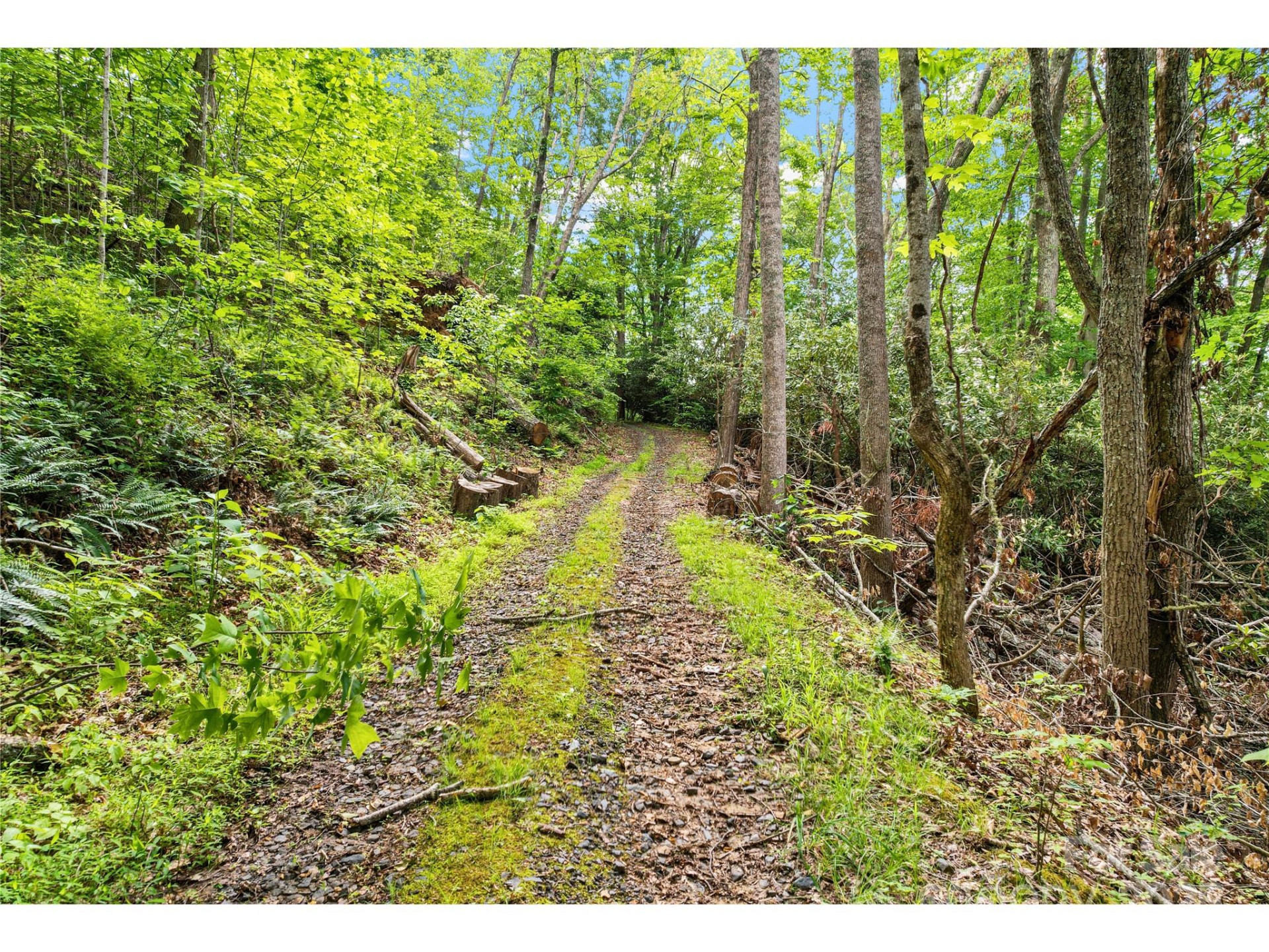 X Bee Branch Road - Photo 5