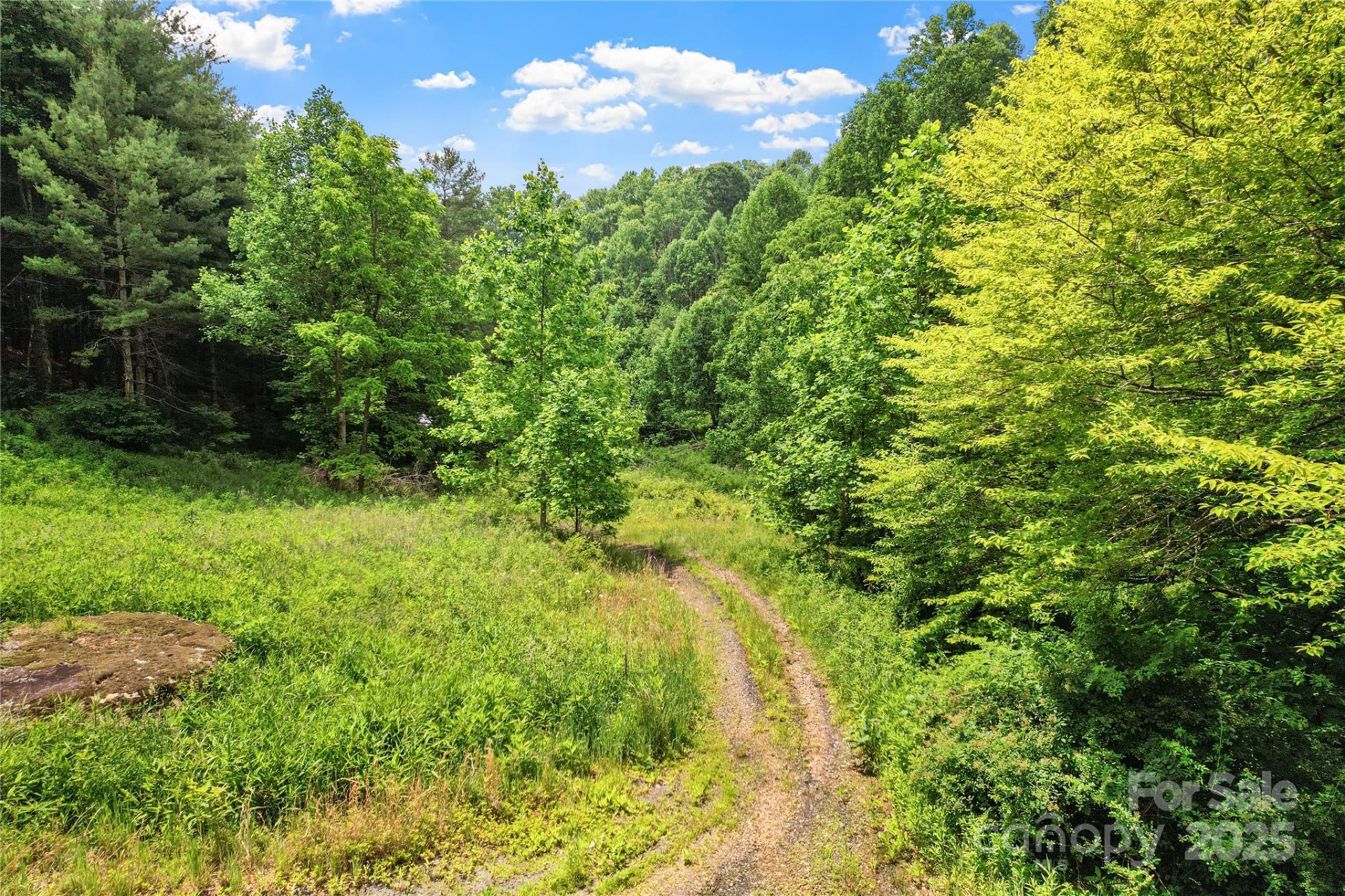 X Bee Branch Road - Photo 6