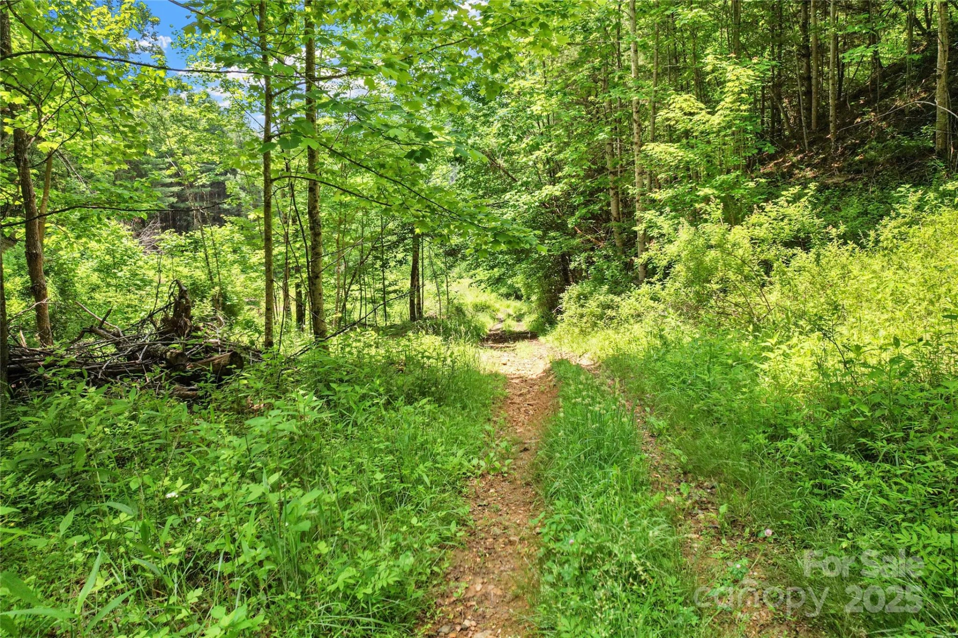 X Bee Branch Road - Photo 7