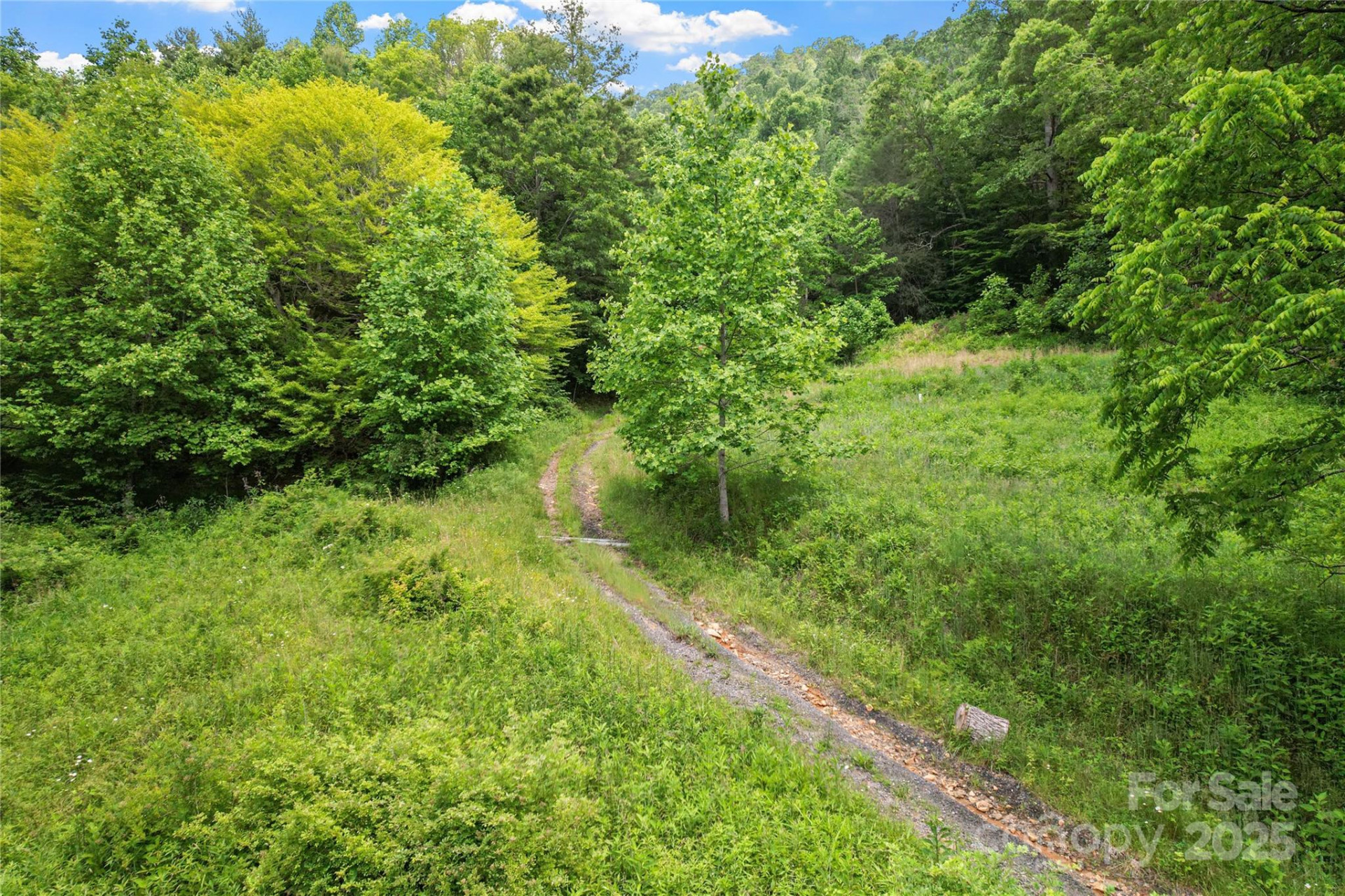 X Bee Branch Road - Photo 8