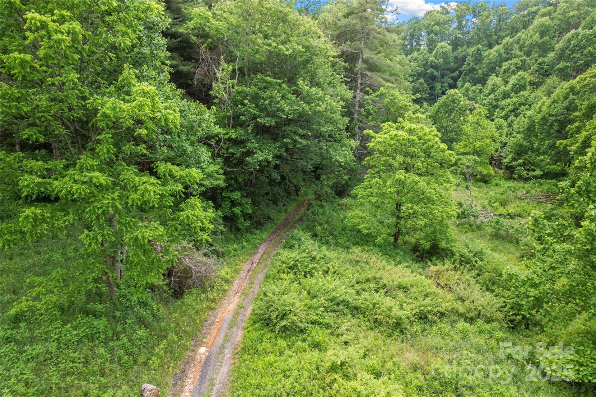 X Bee Branch Road - Photo 9