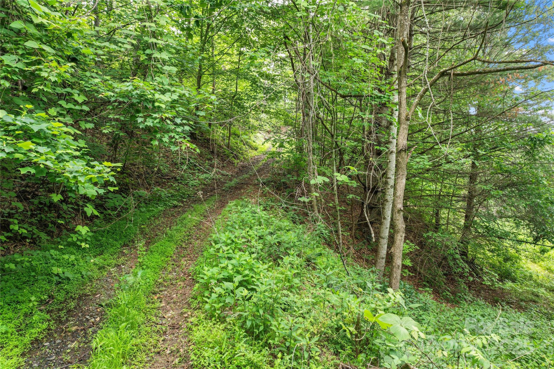 X Bee Branch Road - Photo 10