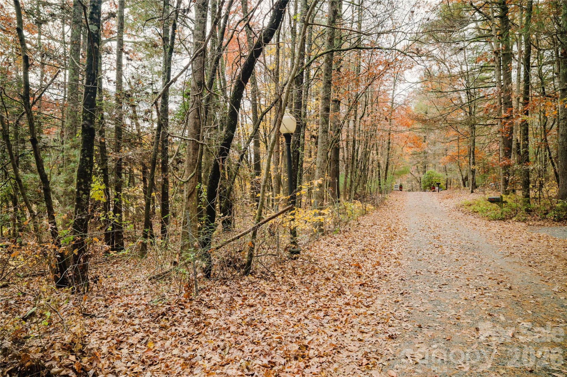 107 Sugar Mill Woods Drive - Photo 30