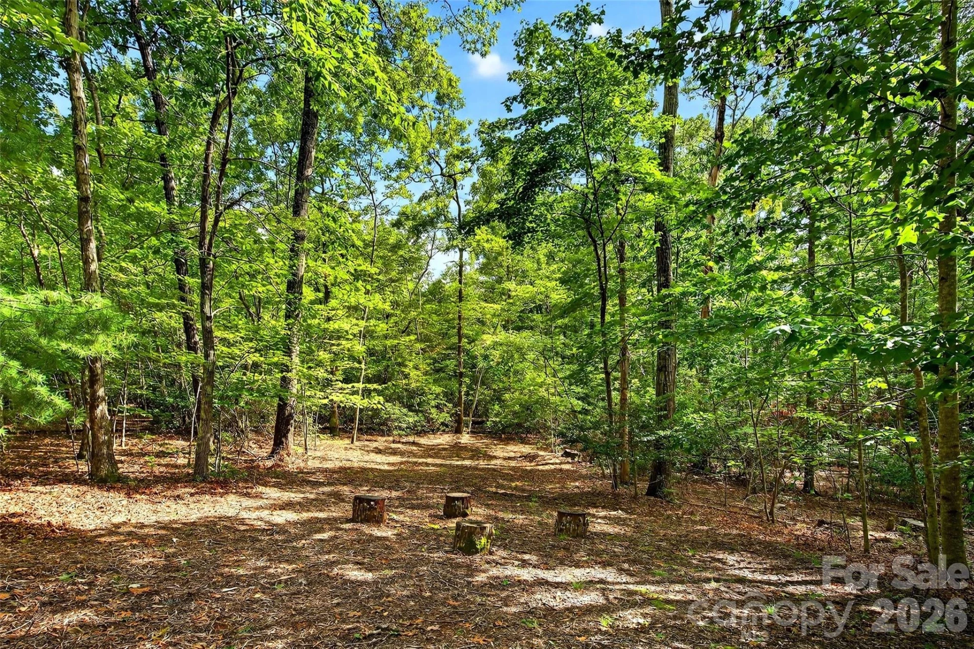 240 Ravenswood Drive - Photo 57