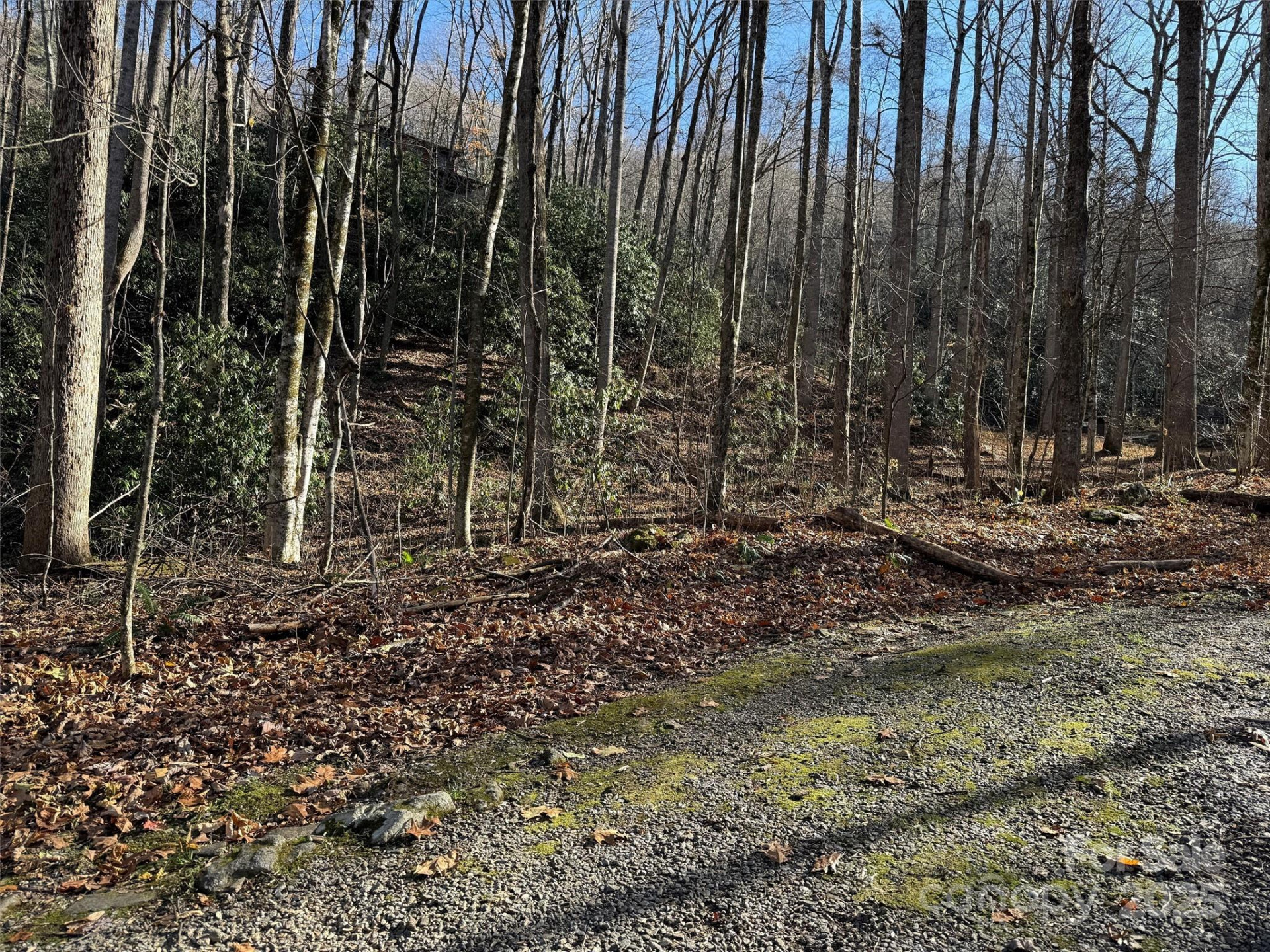 00 Hickory Drive - Photo 4