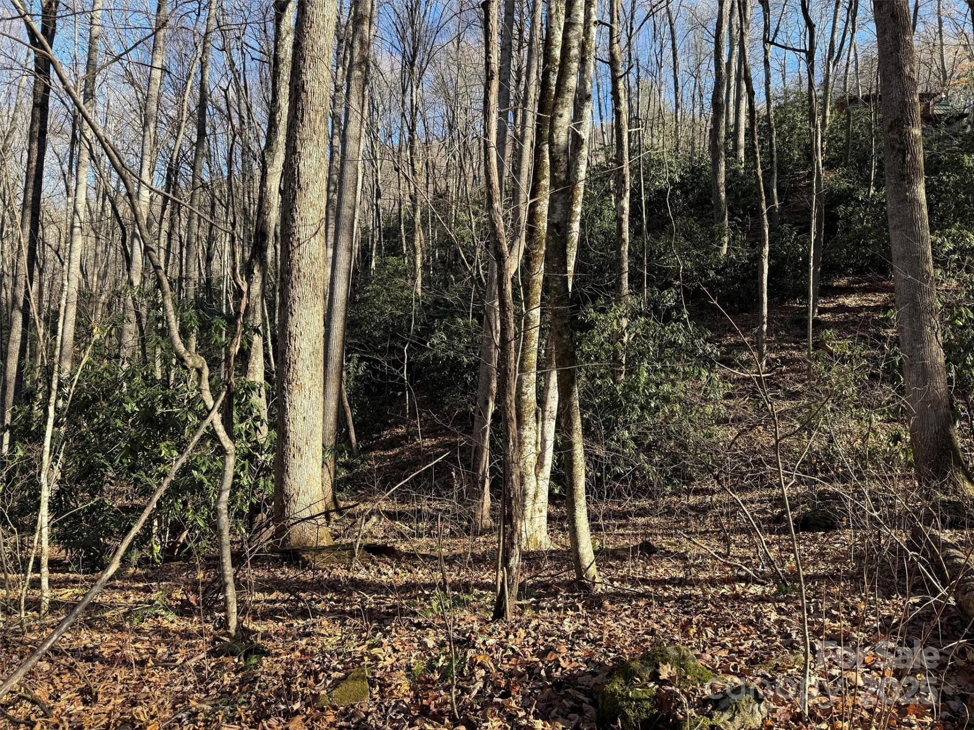 00 Hickory Drive - Photo 5