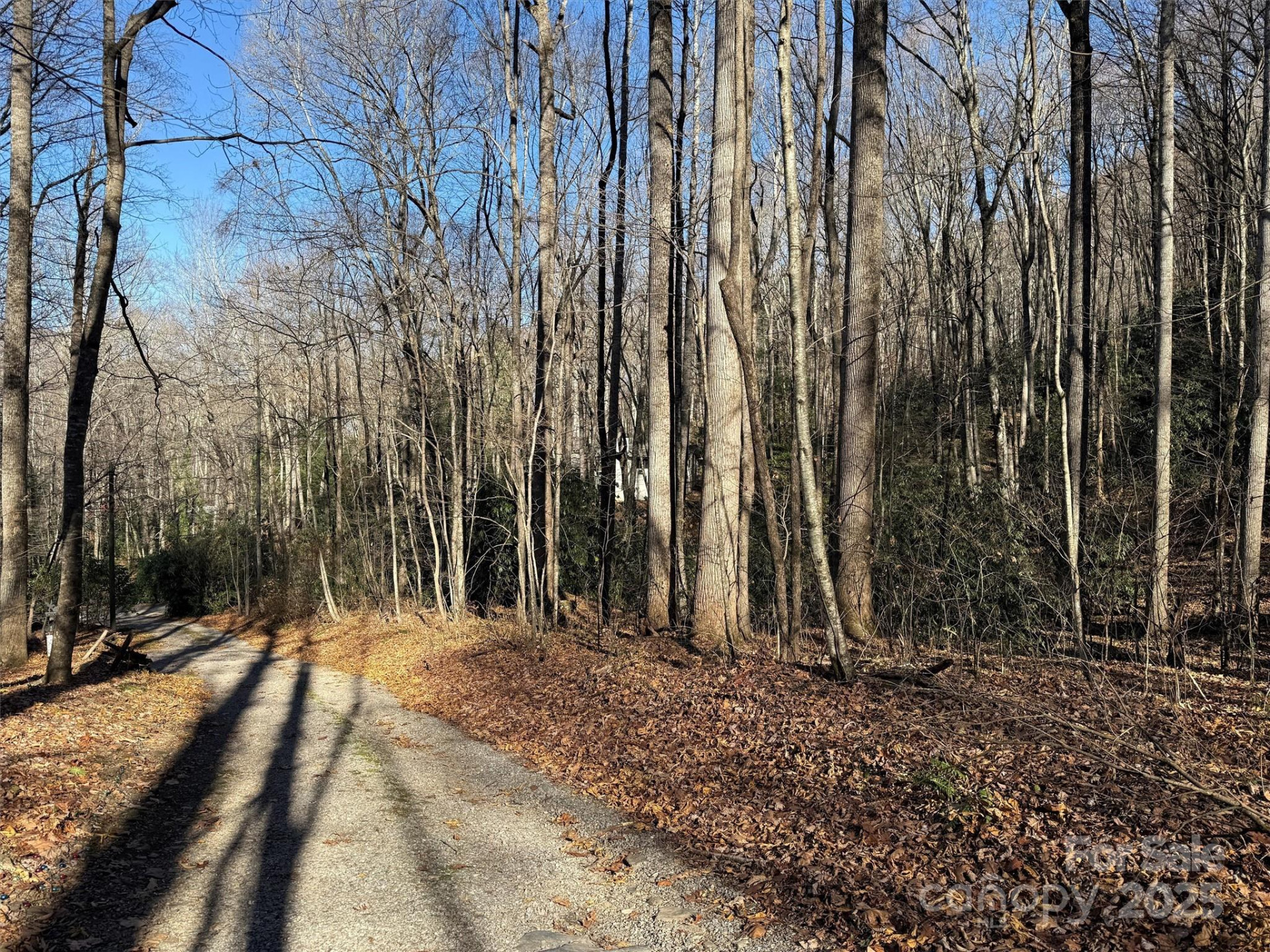 00 Hickory Drive - Photo 6