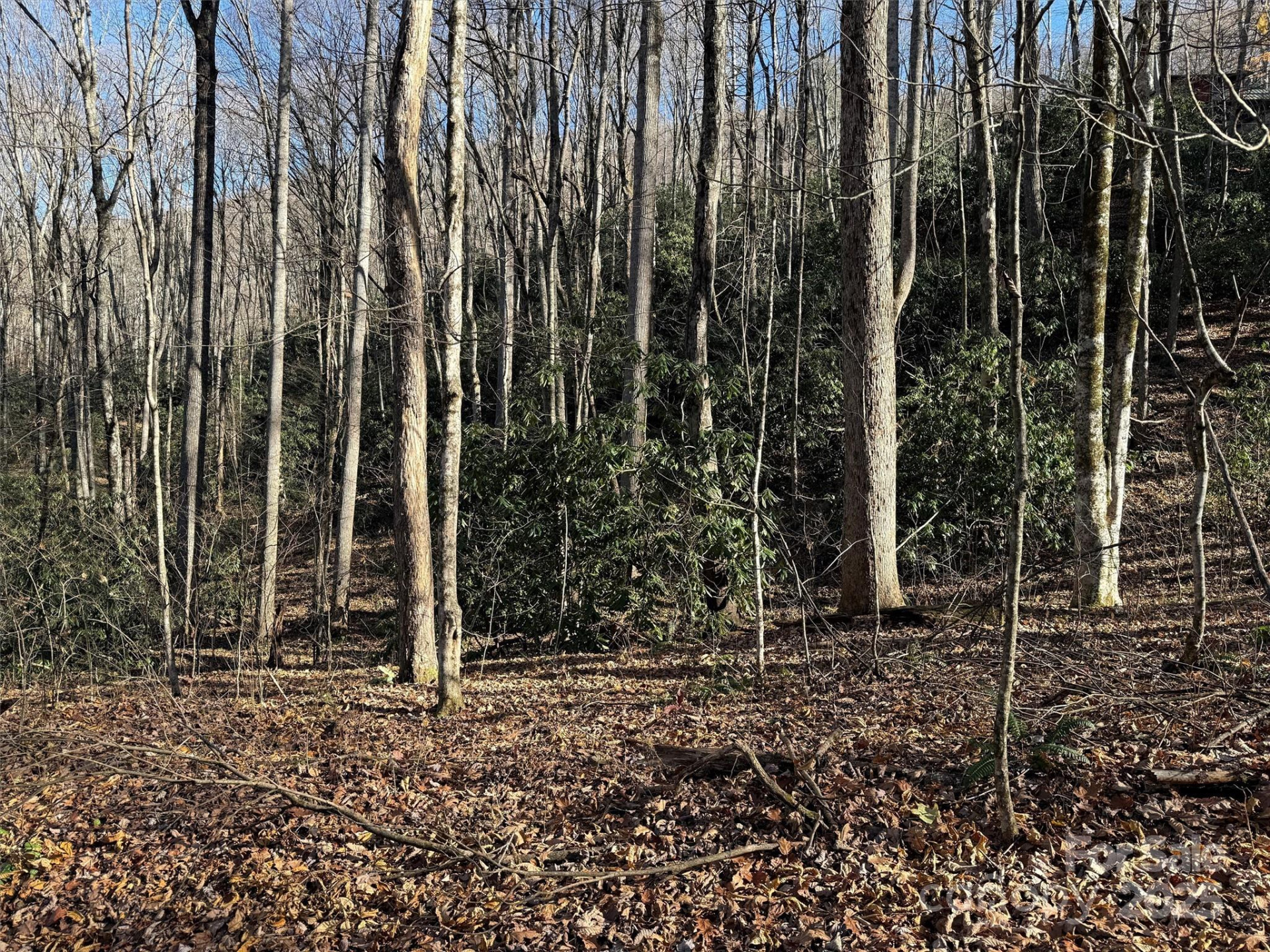 00 Hickory Drive - Photo 7
