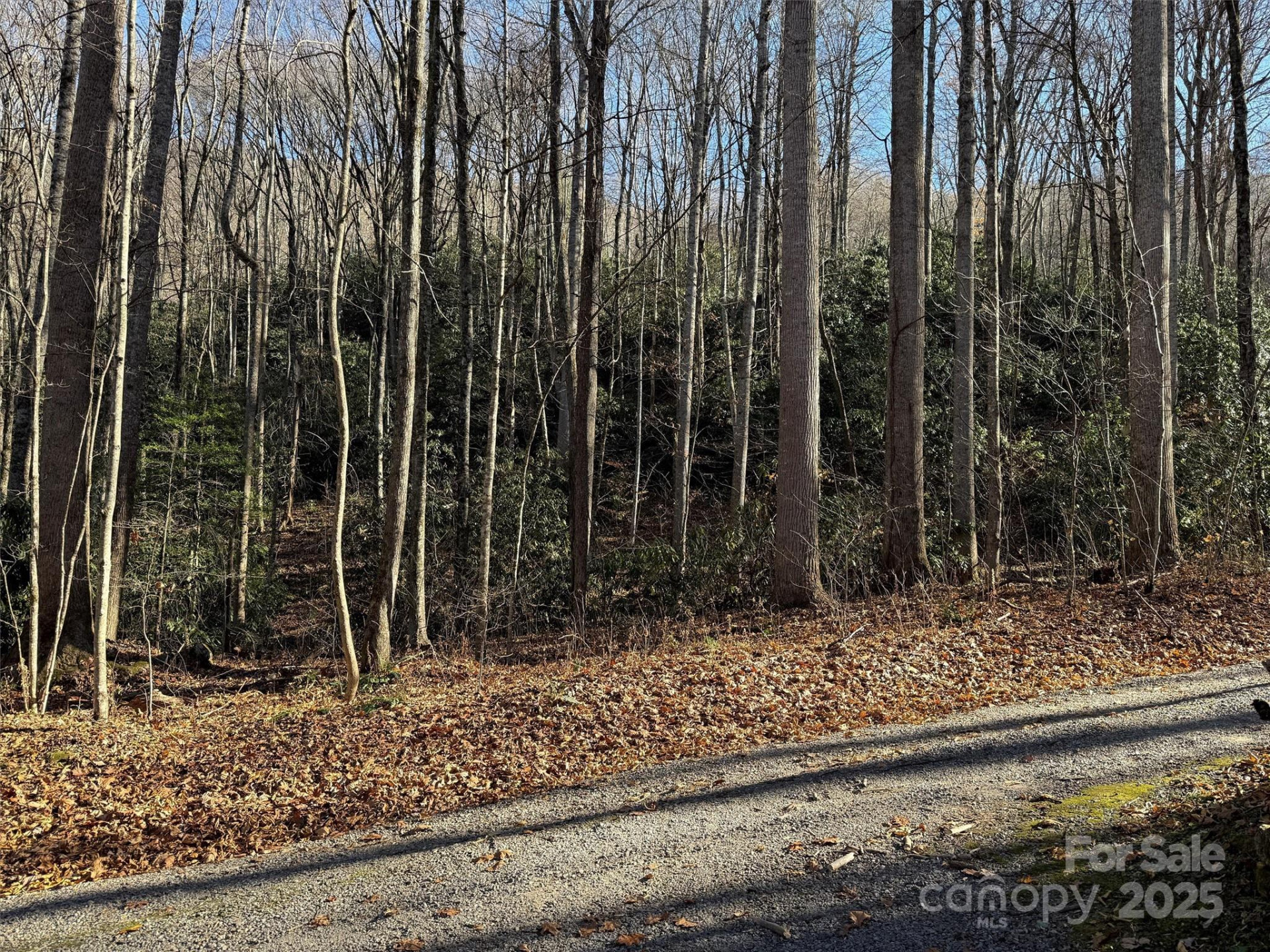 00 Hickory Drive - Photo 8