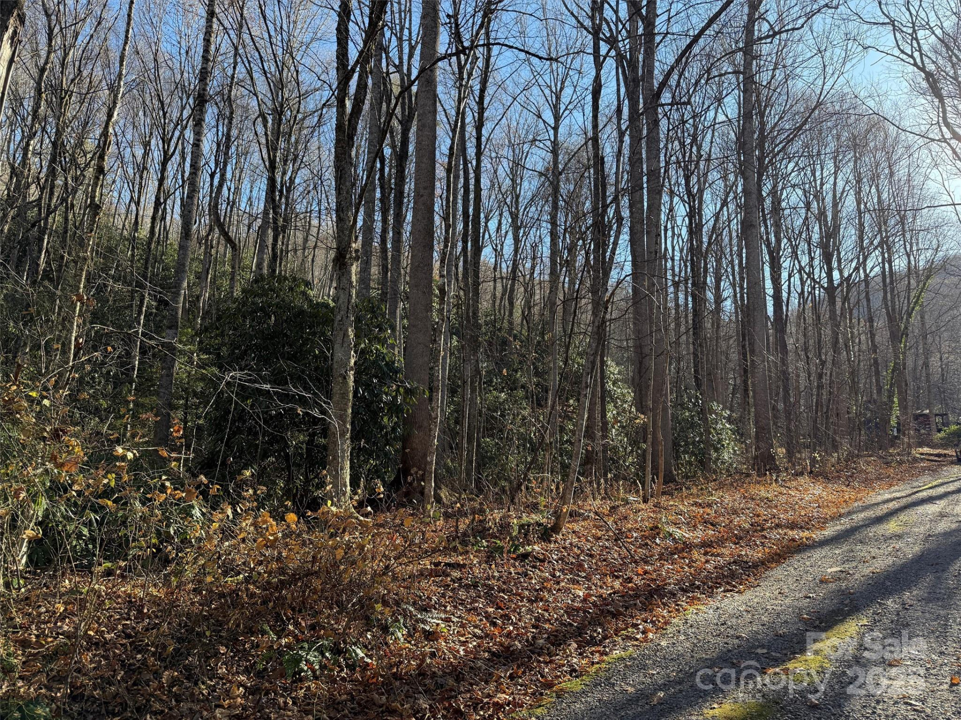 00 Hickory Drive - Photo 9