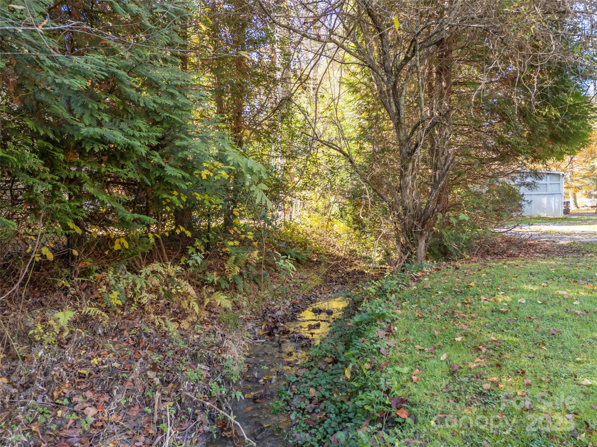 721 White Pine Drive - Photo 31