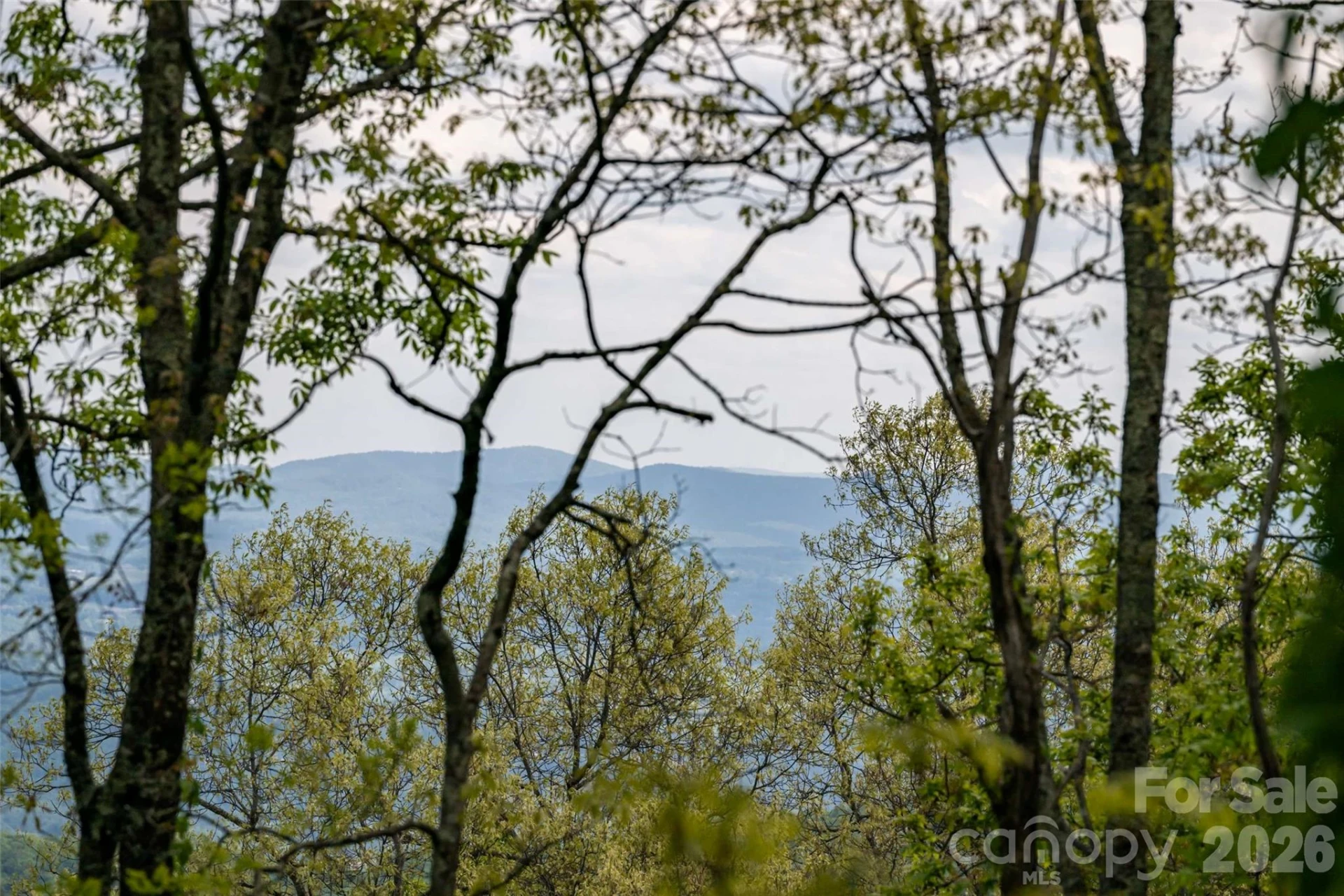 416 Summerset Drive #83 - Photo 20