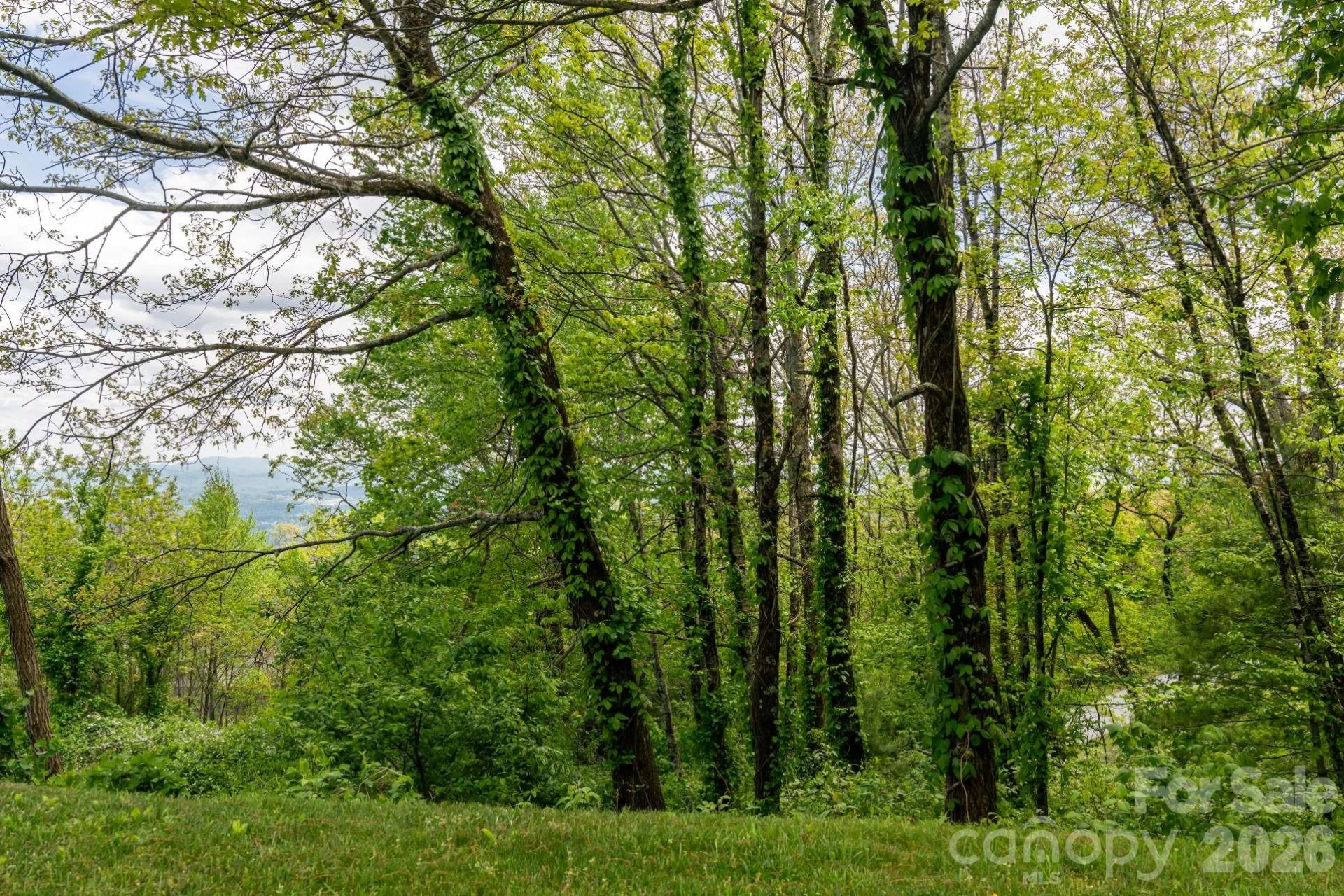 416 Summerset Drive #83 - Photo 22