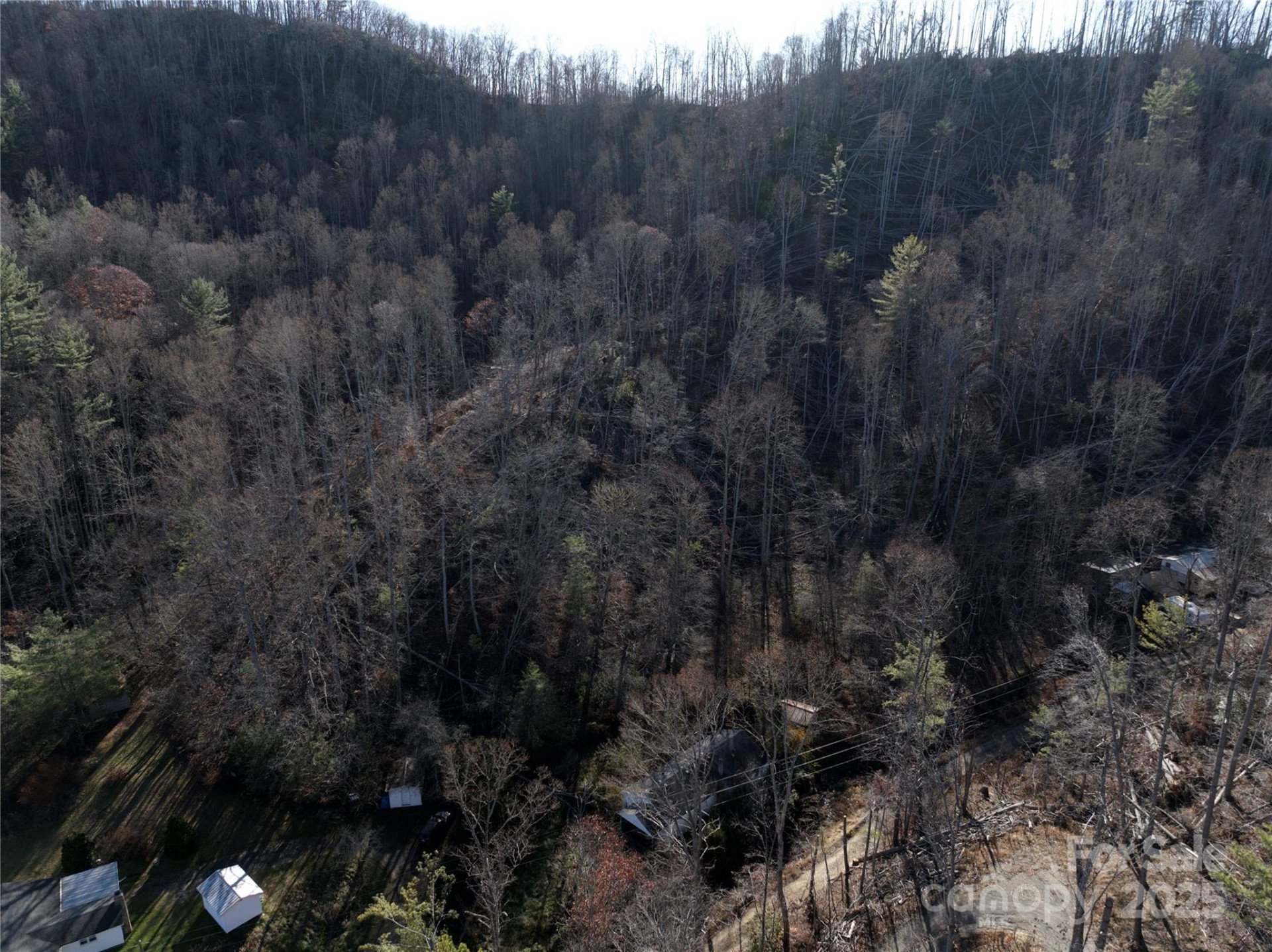 615 Fred Sparks Road - Photo 3