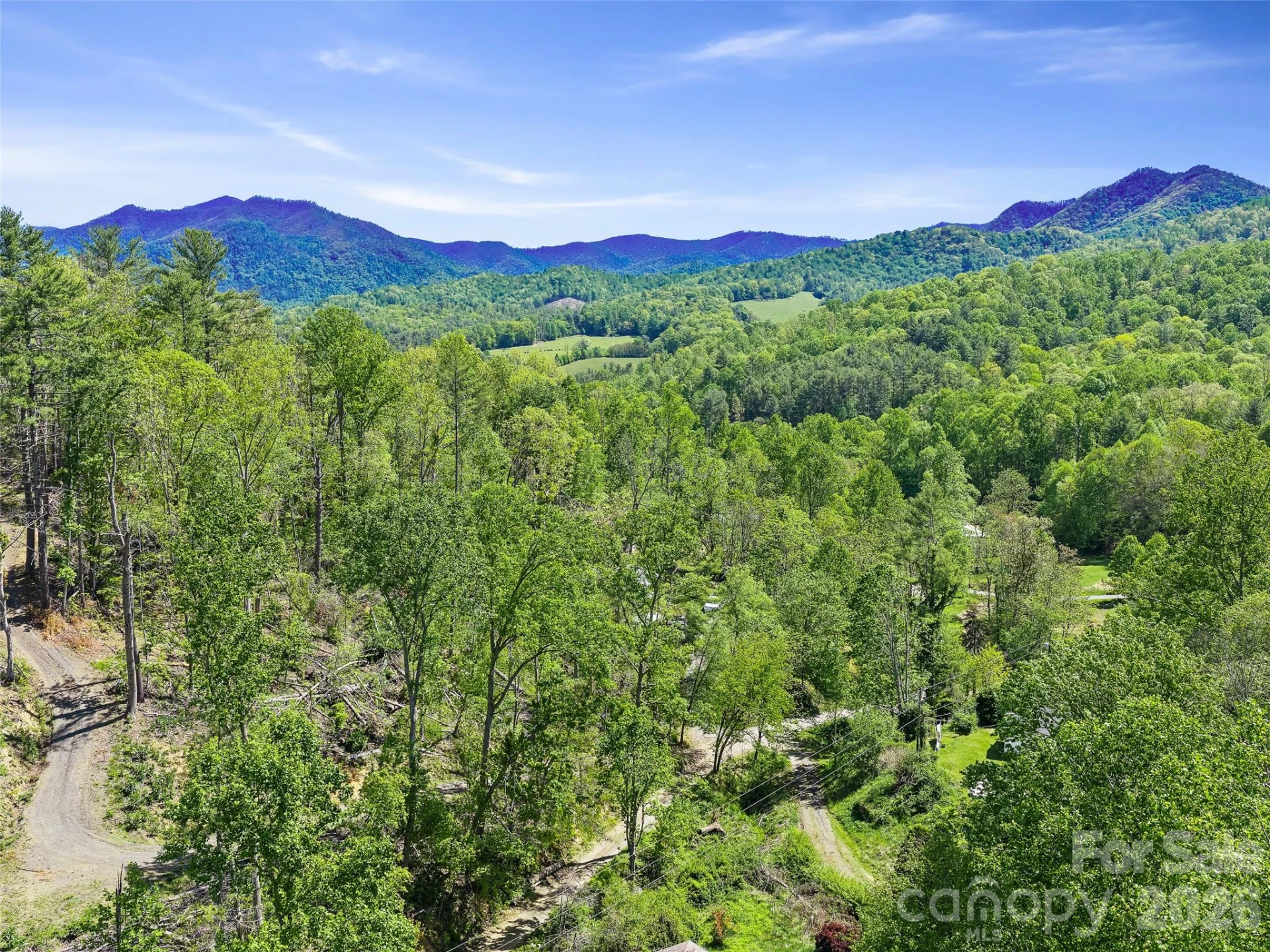 615 Fred Sparks Road - Photo 5