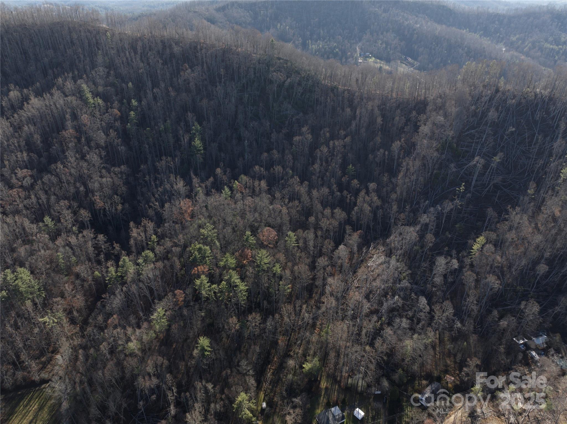 615 Fred Sparks Road - Photo 4