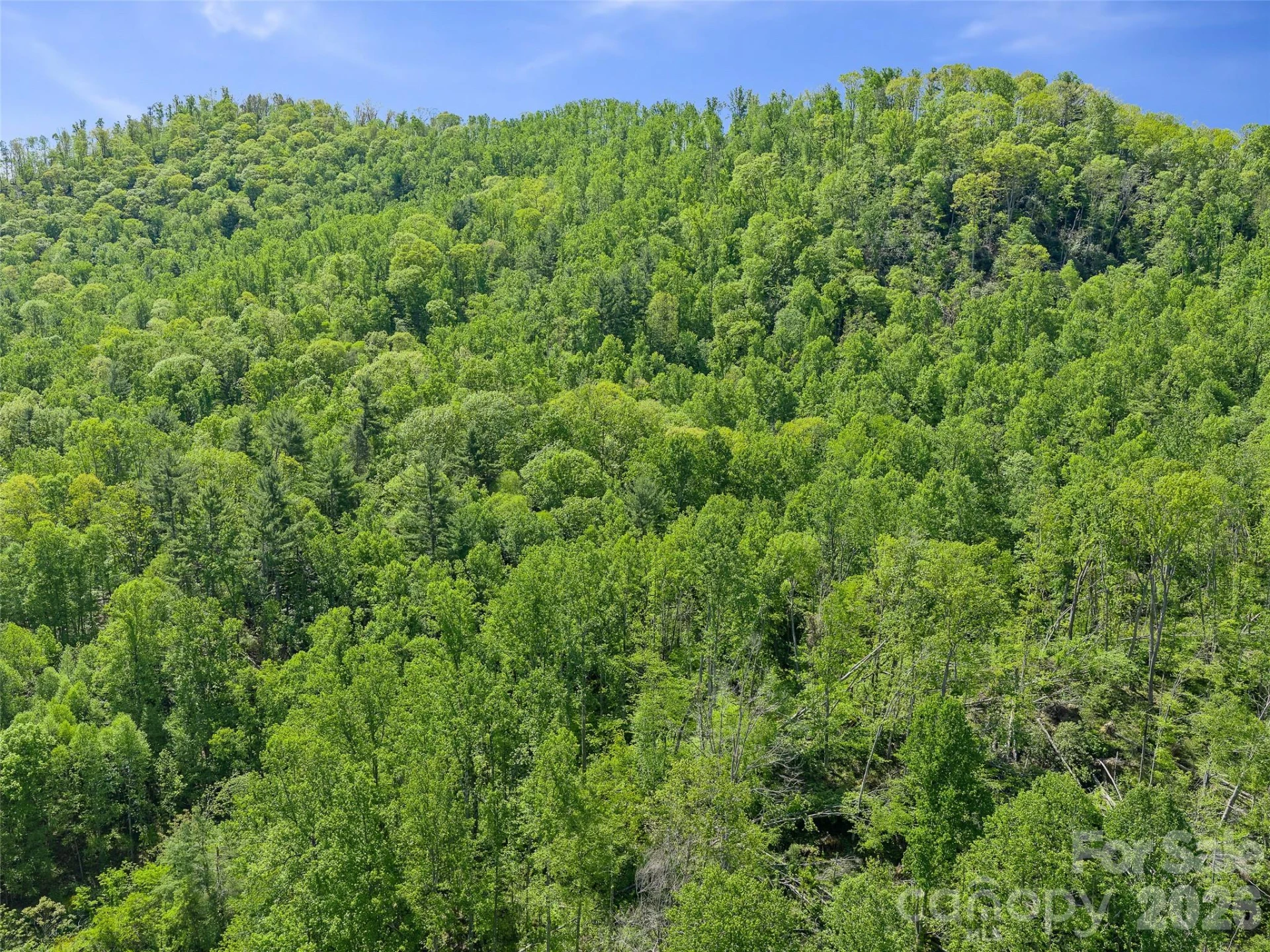 615 Fred Sparks Road - Photo 7