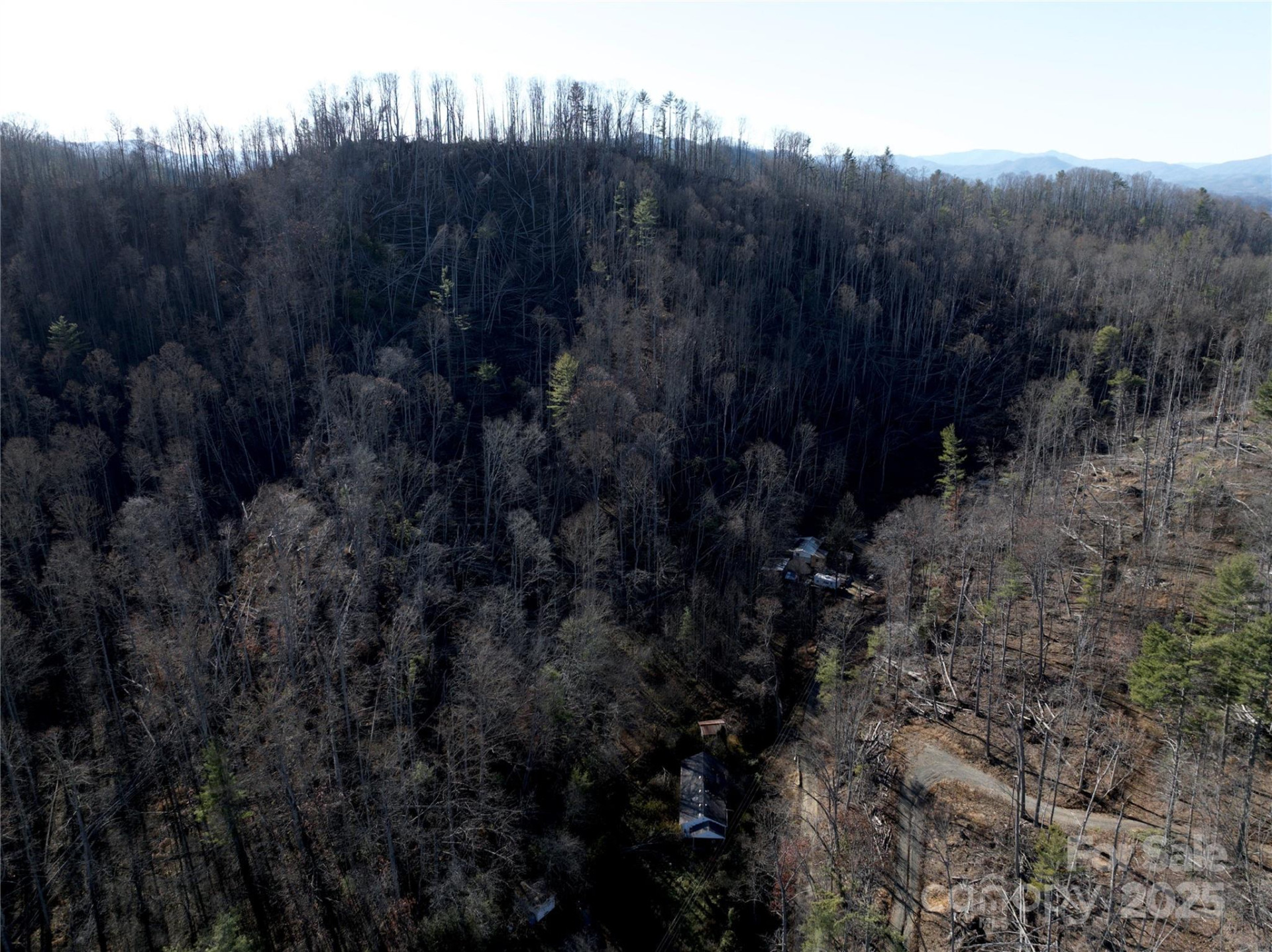 615 Fred Sparks Road - Photo 6