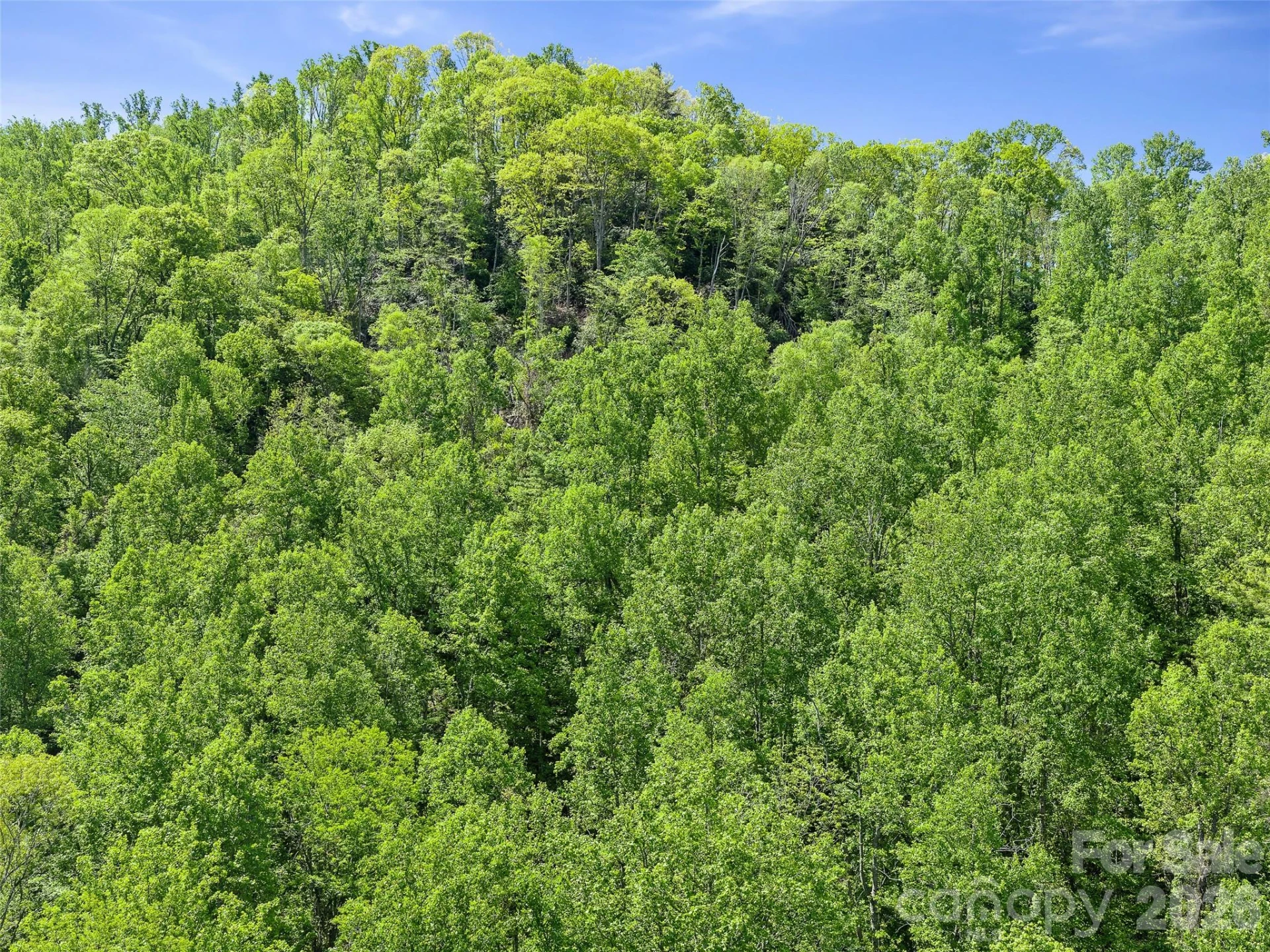 615 Fred Sparks Road - Photo 16