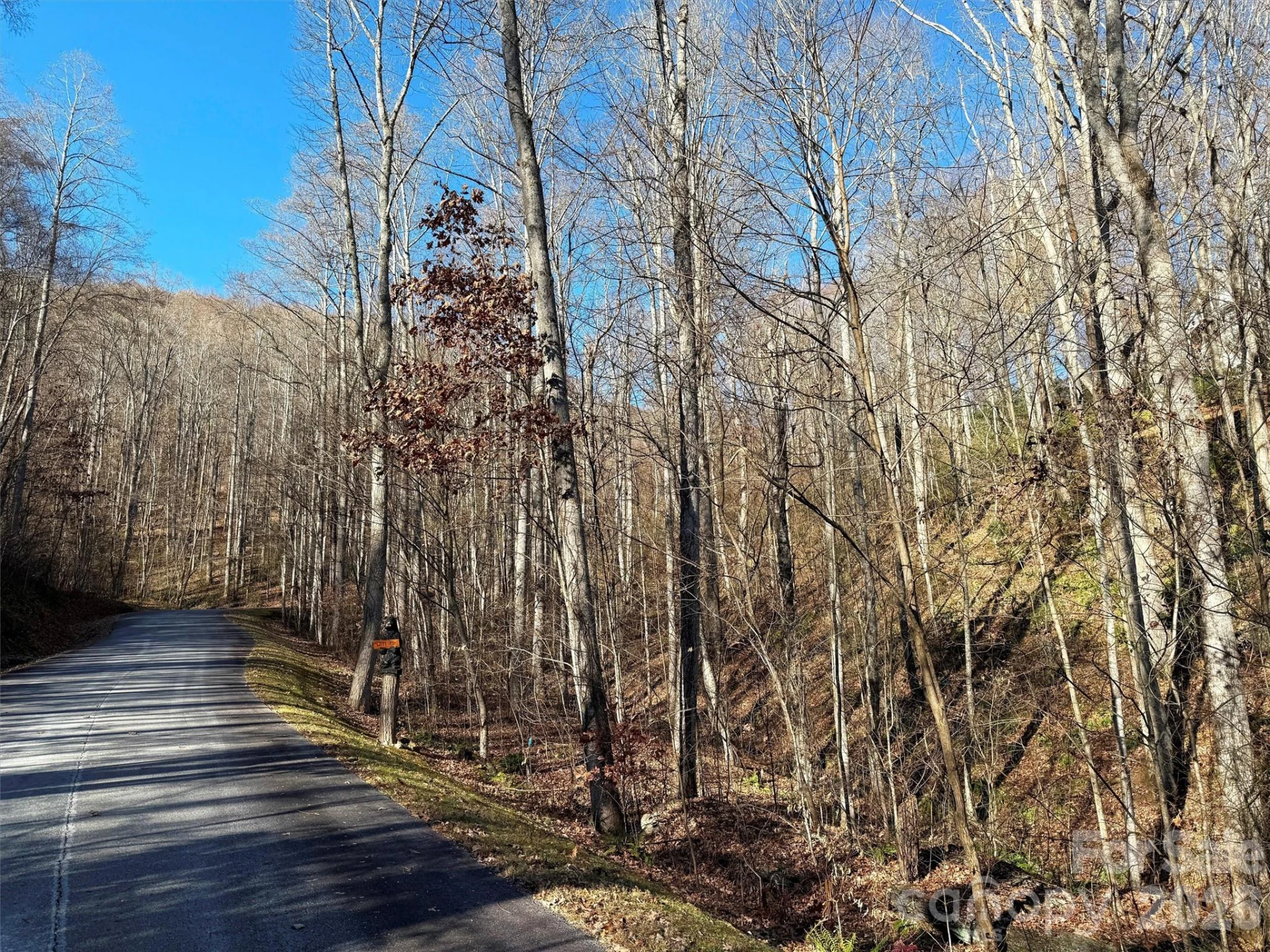 00 Mountain Watch Drive #1 - Photo 23